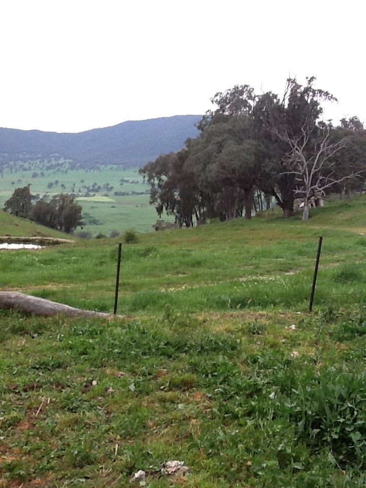 Image of property