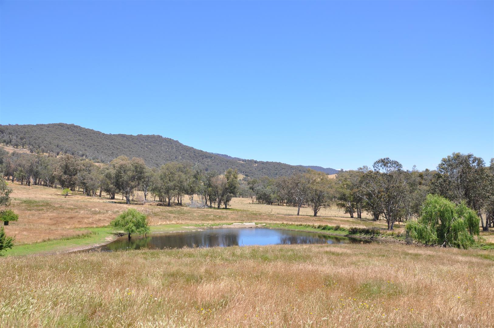 Image of property