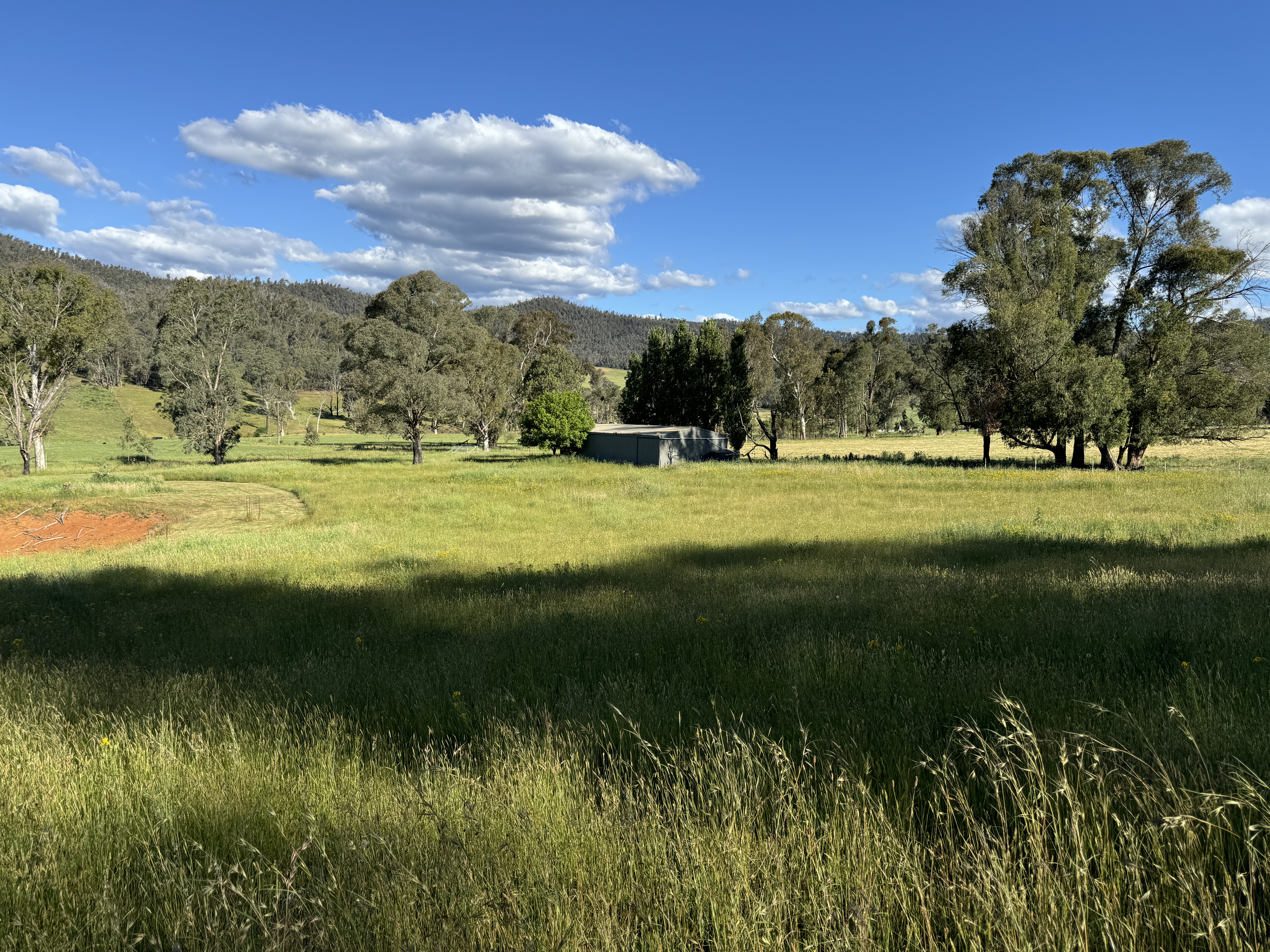 608 Bunroy Rd, Biggara - Thumbnail 7