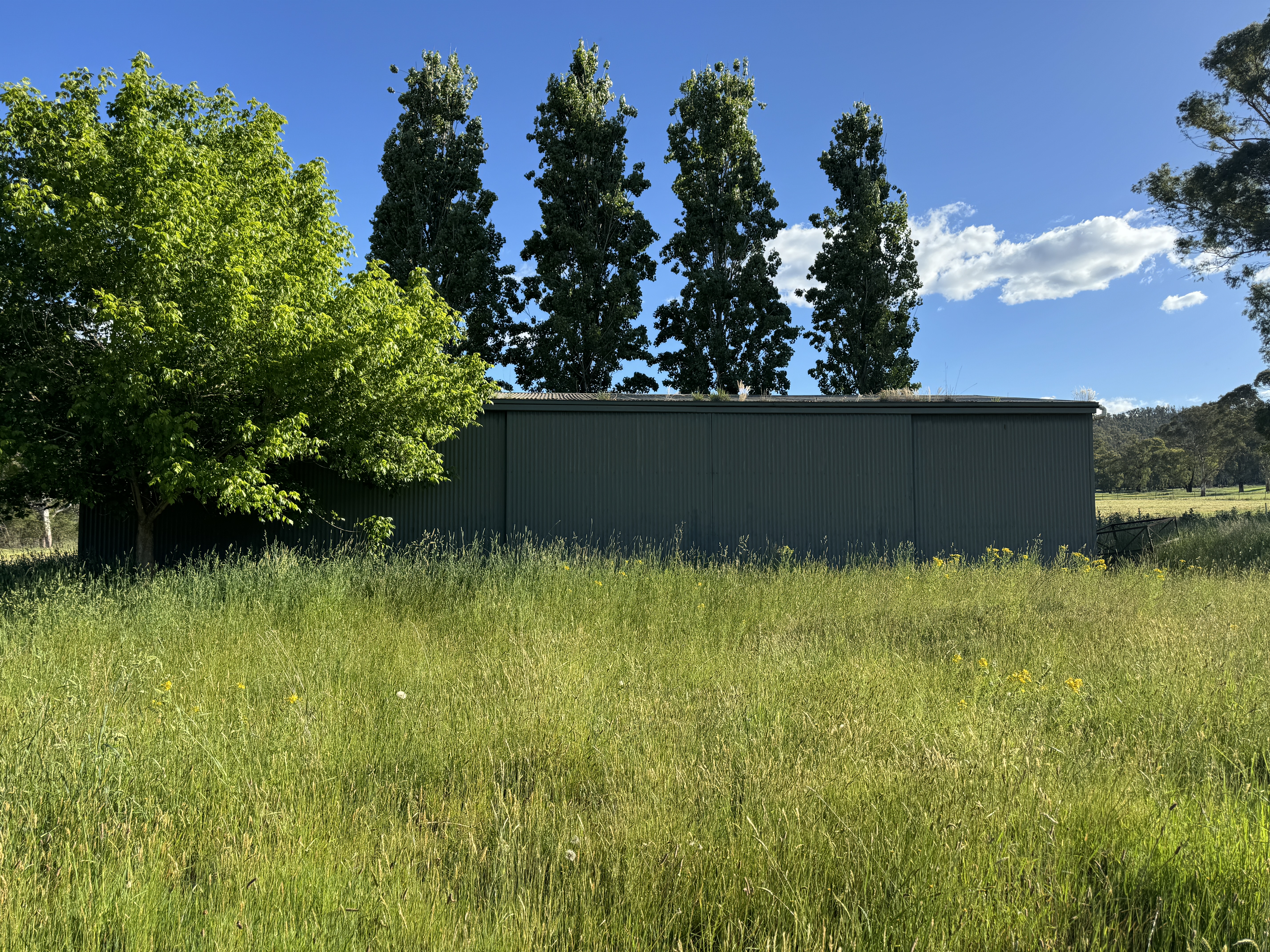 608 Bunroy Rd, Biggara - Thumbnail 4