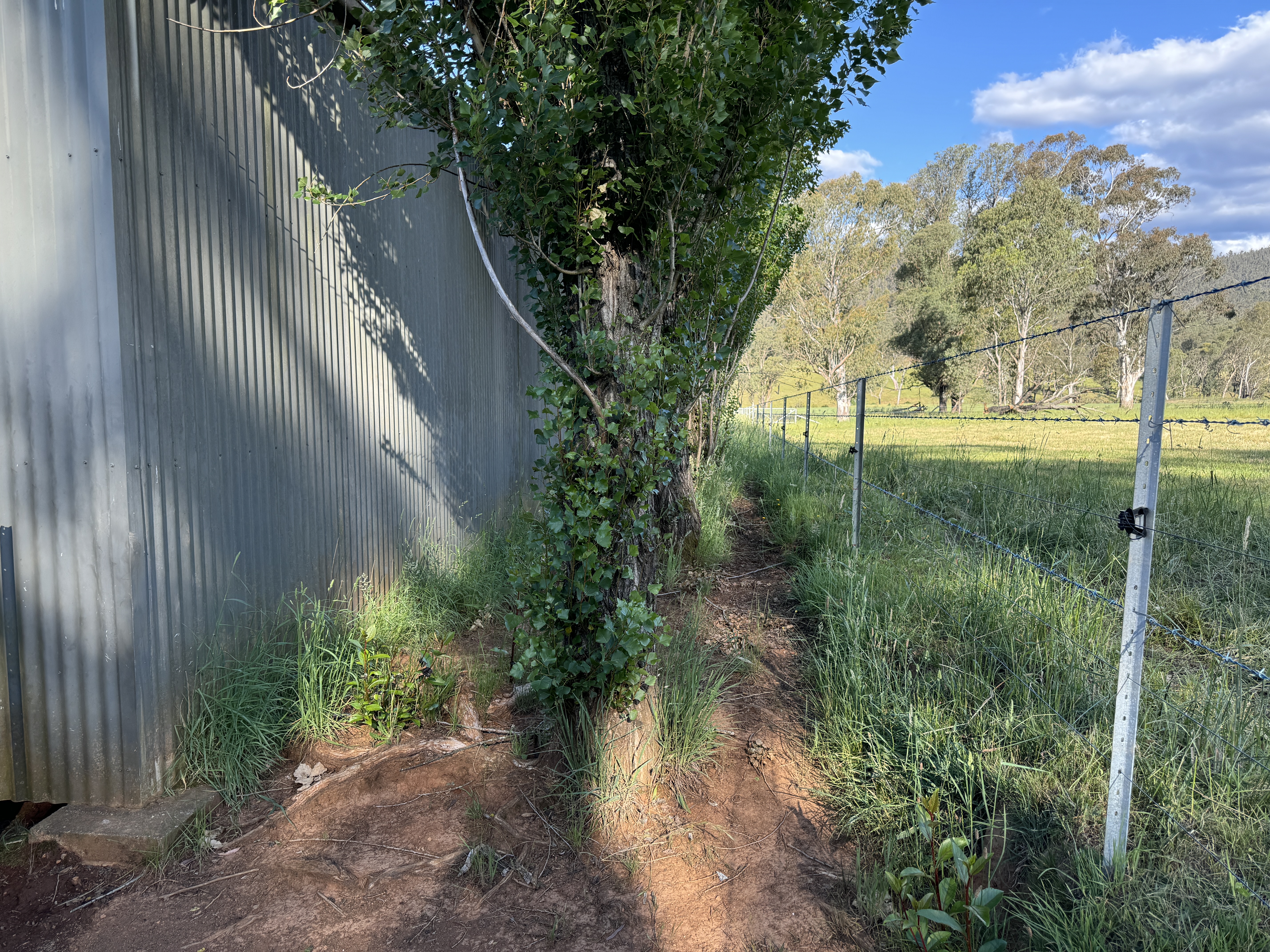 608 Bunroy Rd, Biggara - Thumbnail 6