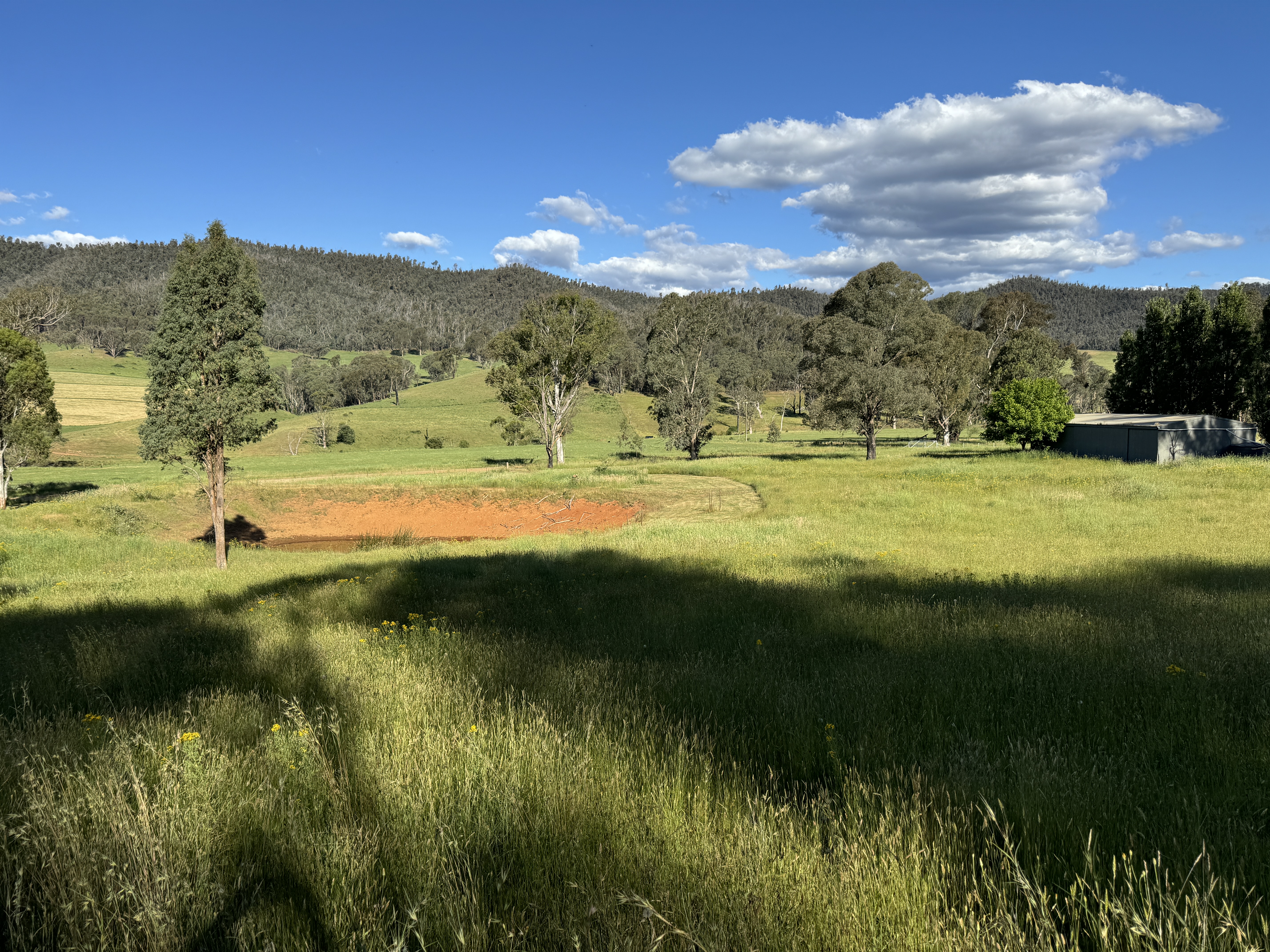 608 Bunroy Rd, Biggara - Thumbnail 8