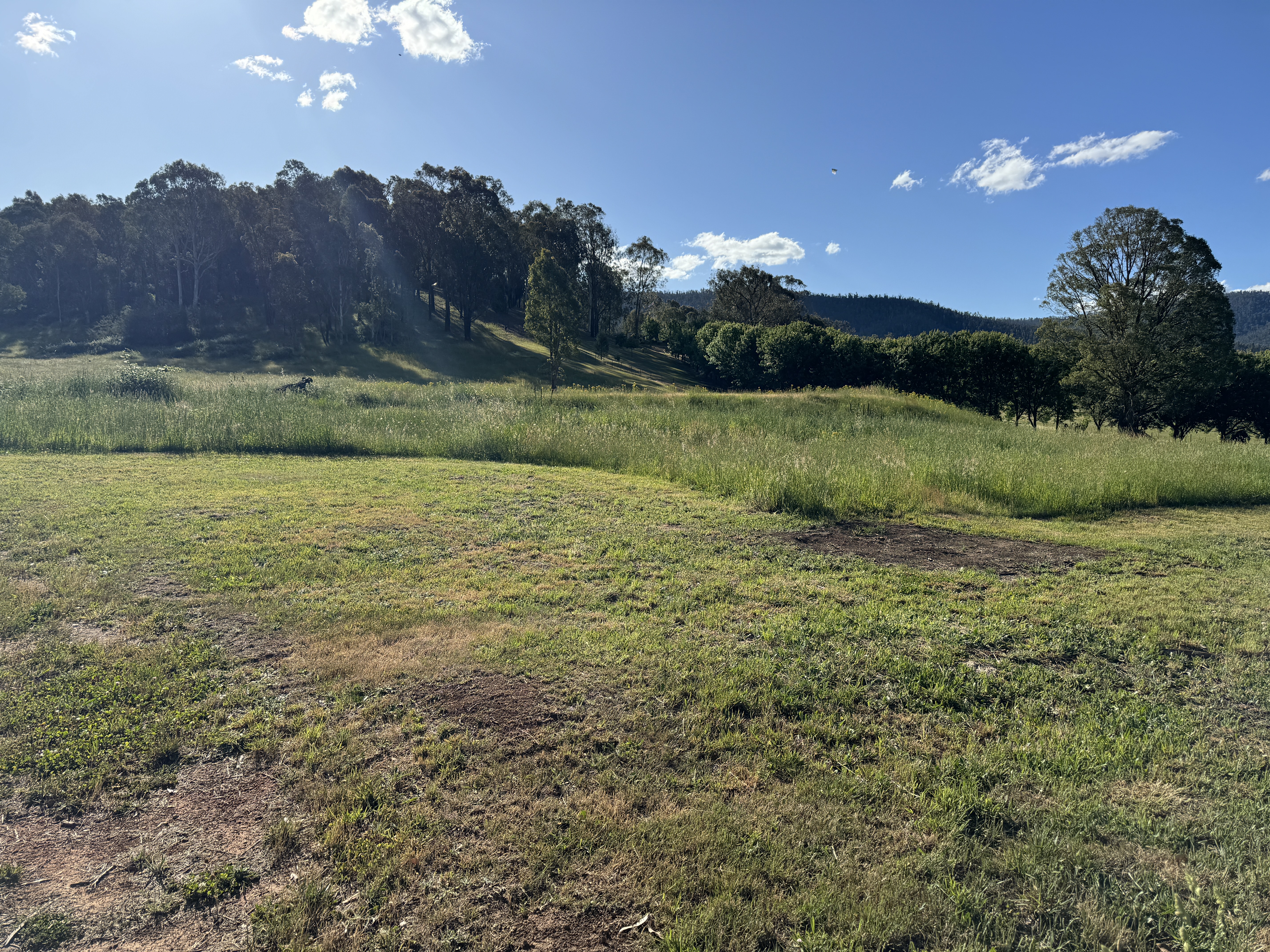 608 Bunroy Rd, Biggara - Thumbnail 3