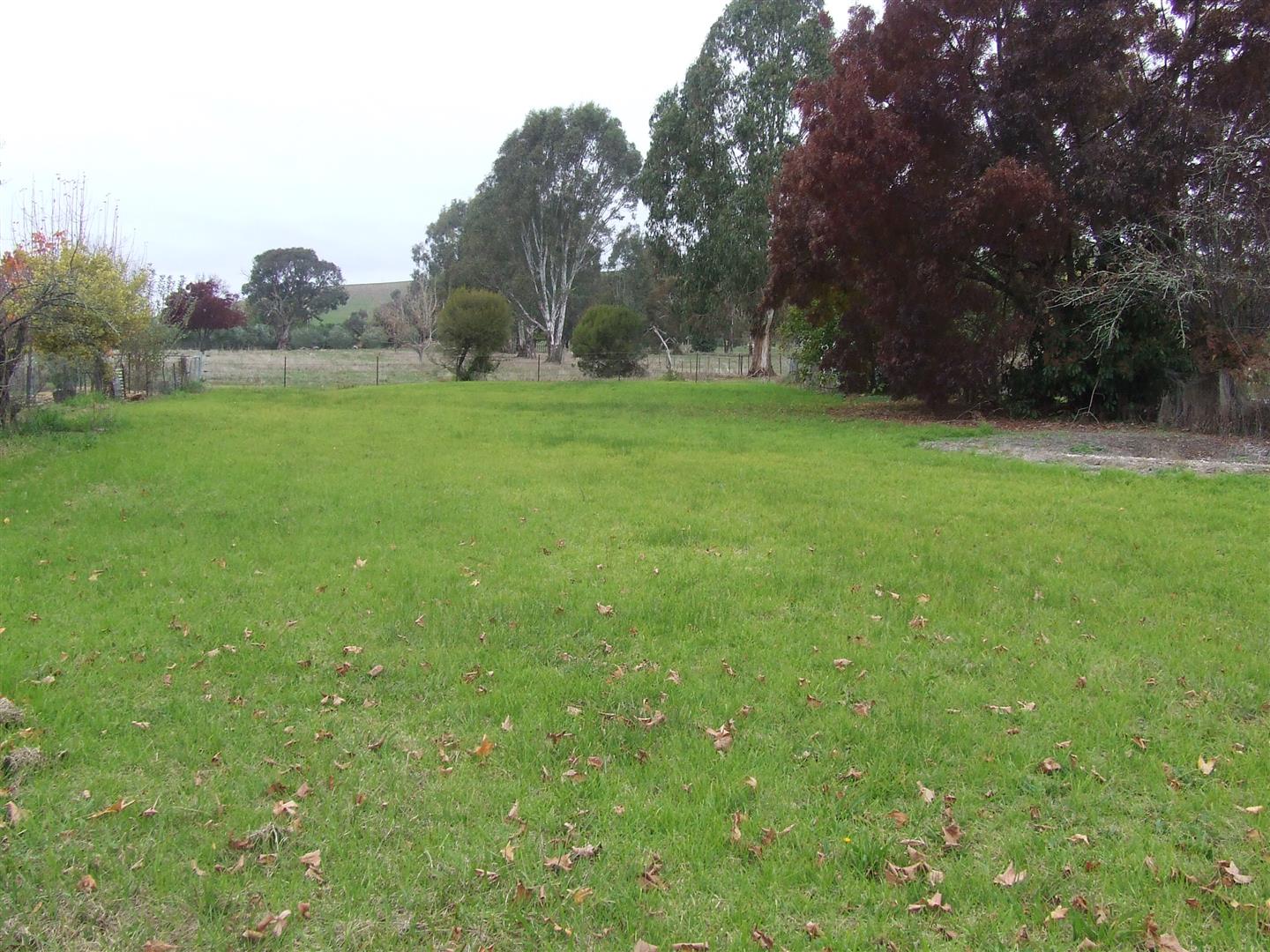 81 Towong rd, Corryong - Thumbnail 3