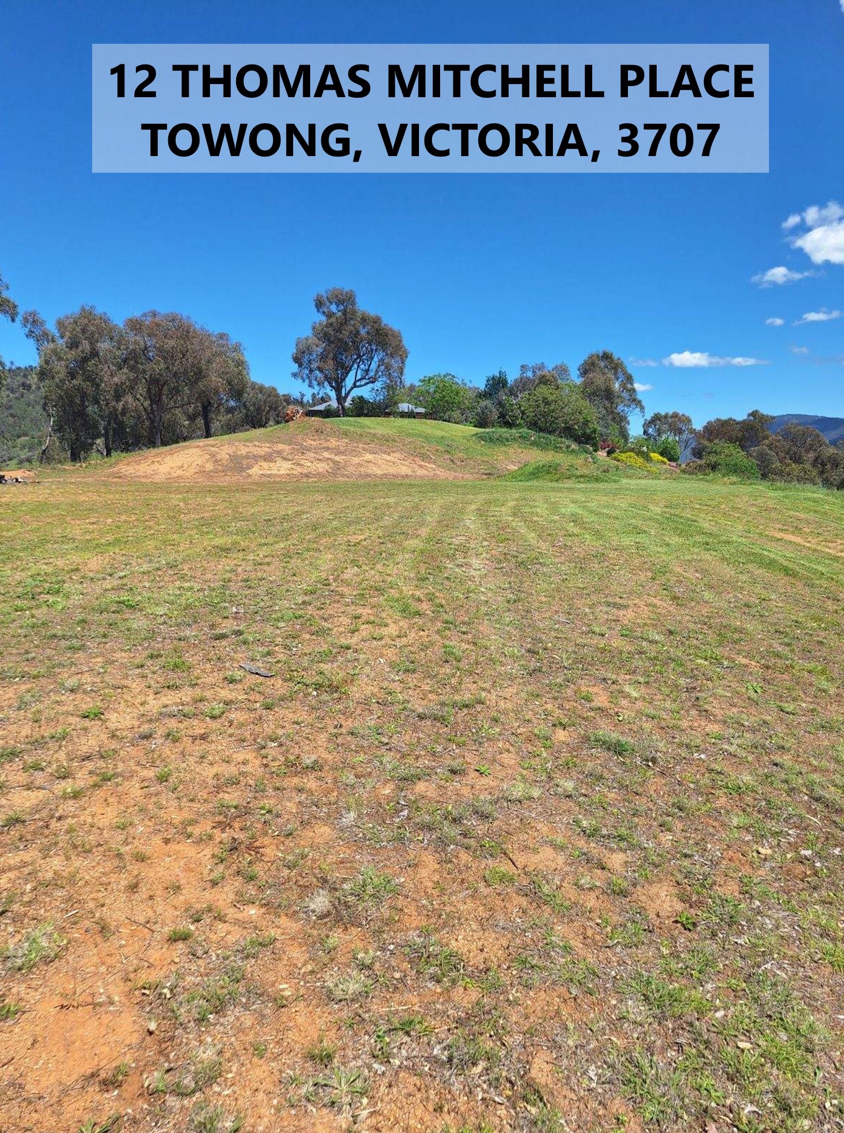 12 Thomas Mitchell Place, Towong - Thumbnail 5