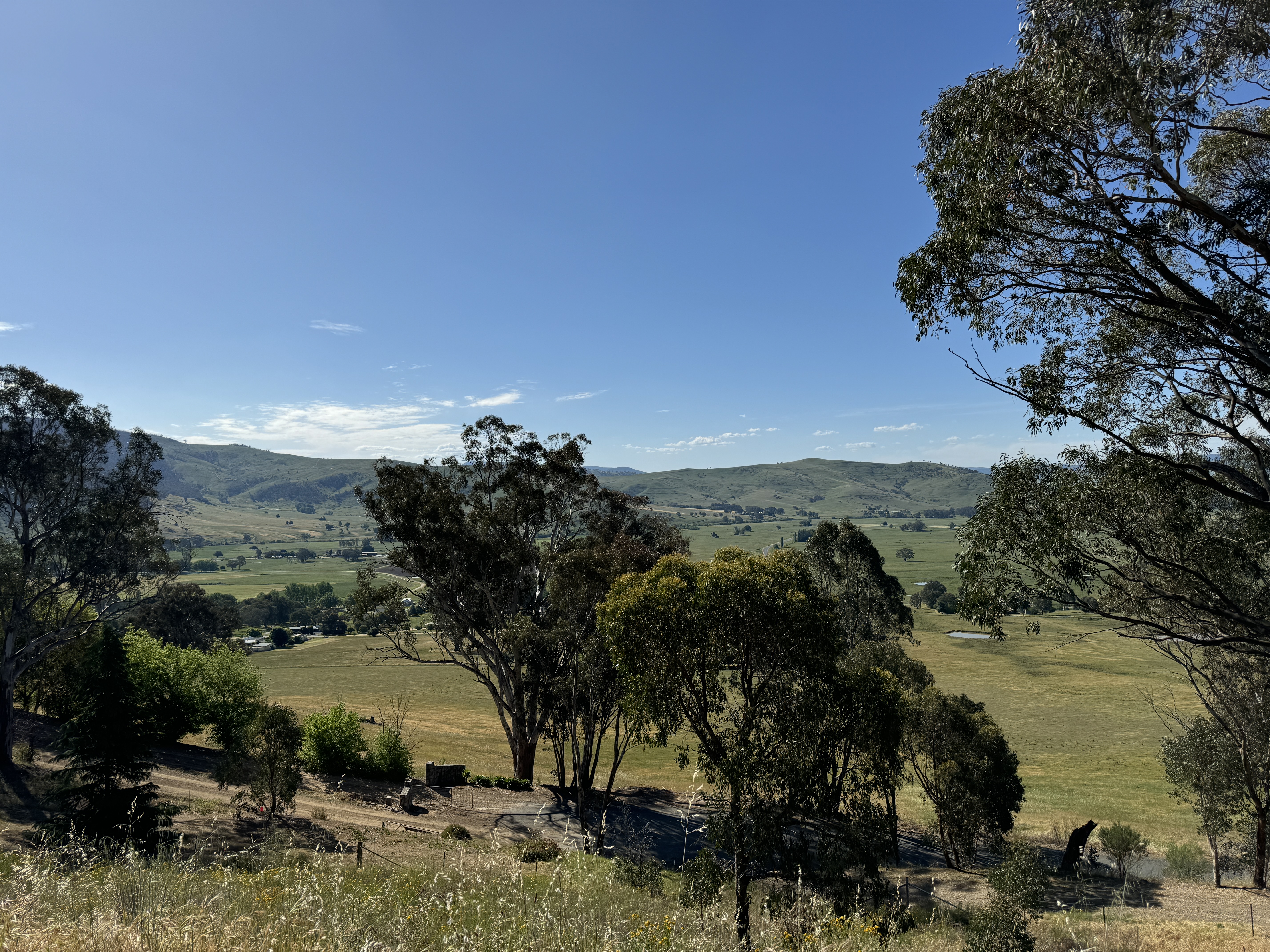 12 Thomas Mitchell Place, Towong - Thumbnail 7