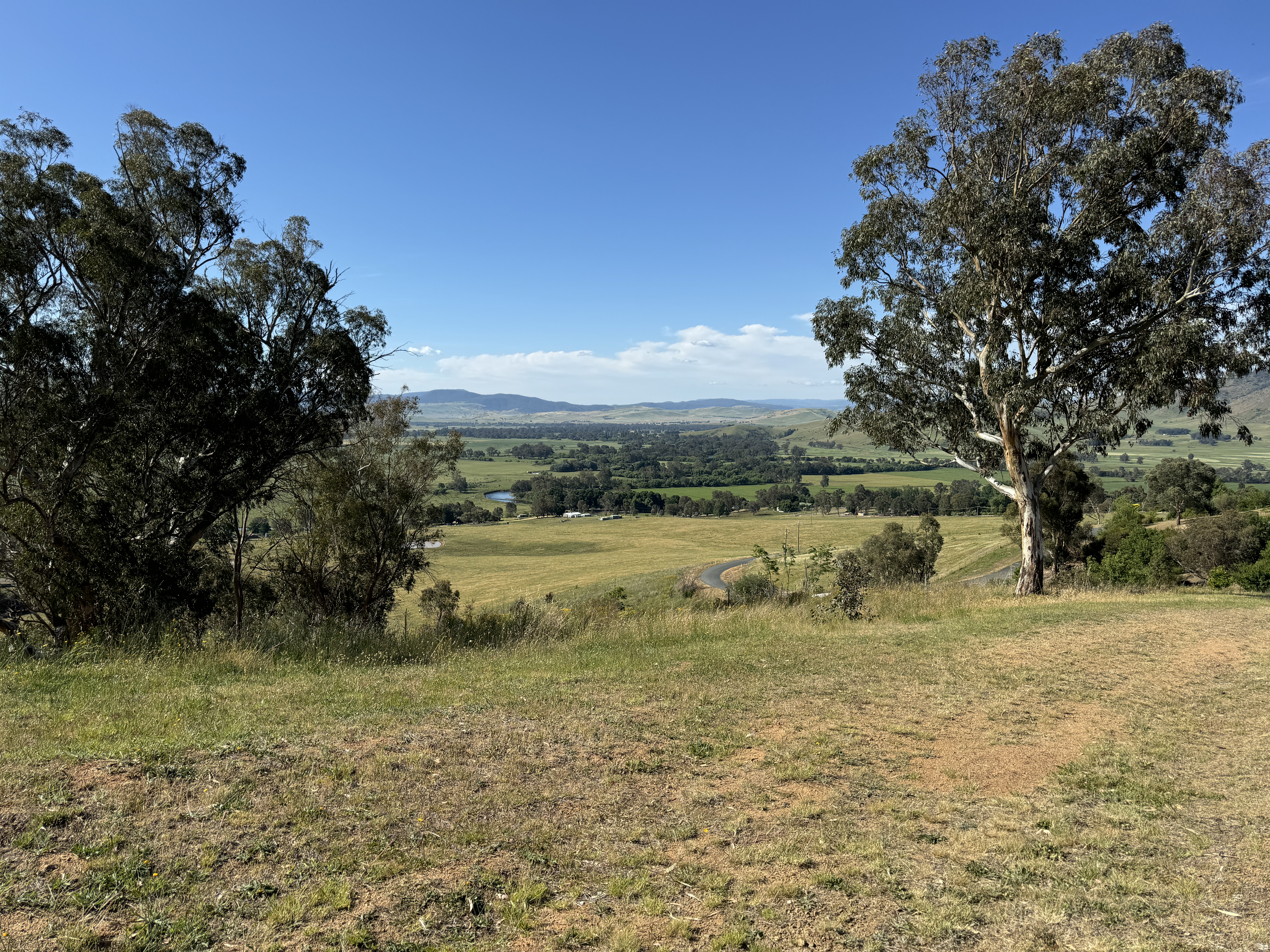 12 Thomas Mitchell Place, Towong - Thumbnail 6