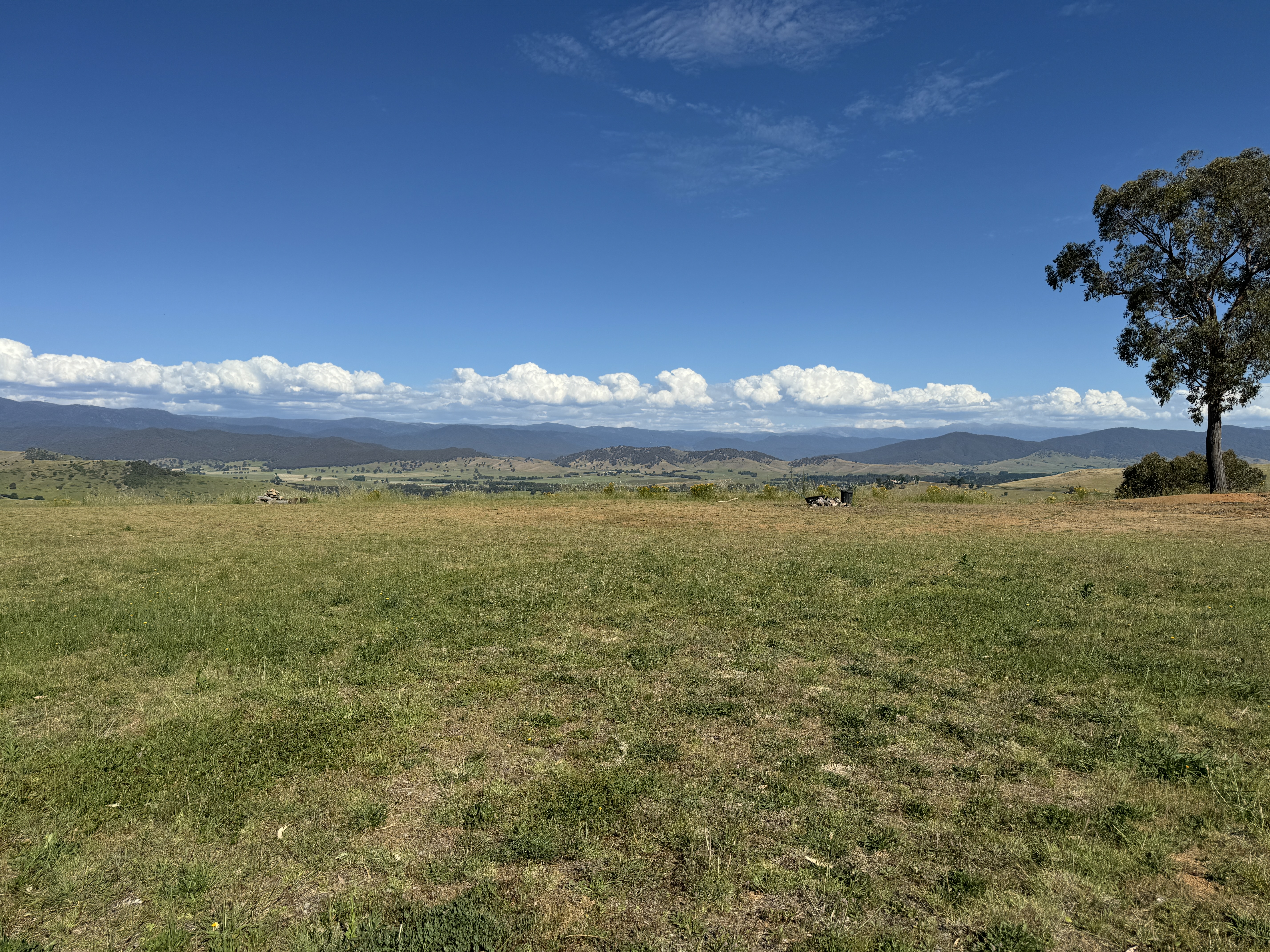 12 Thomas Mitchell Place, Towong - Thumbnail 8