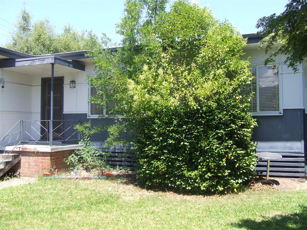 77 Harris Street, Corryong - Thumbnail 4