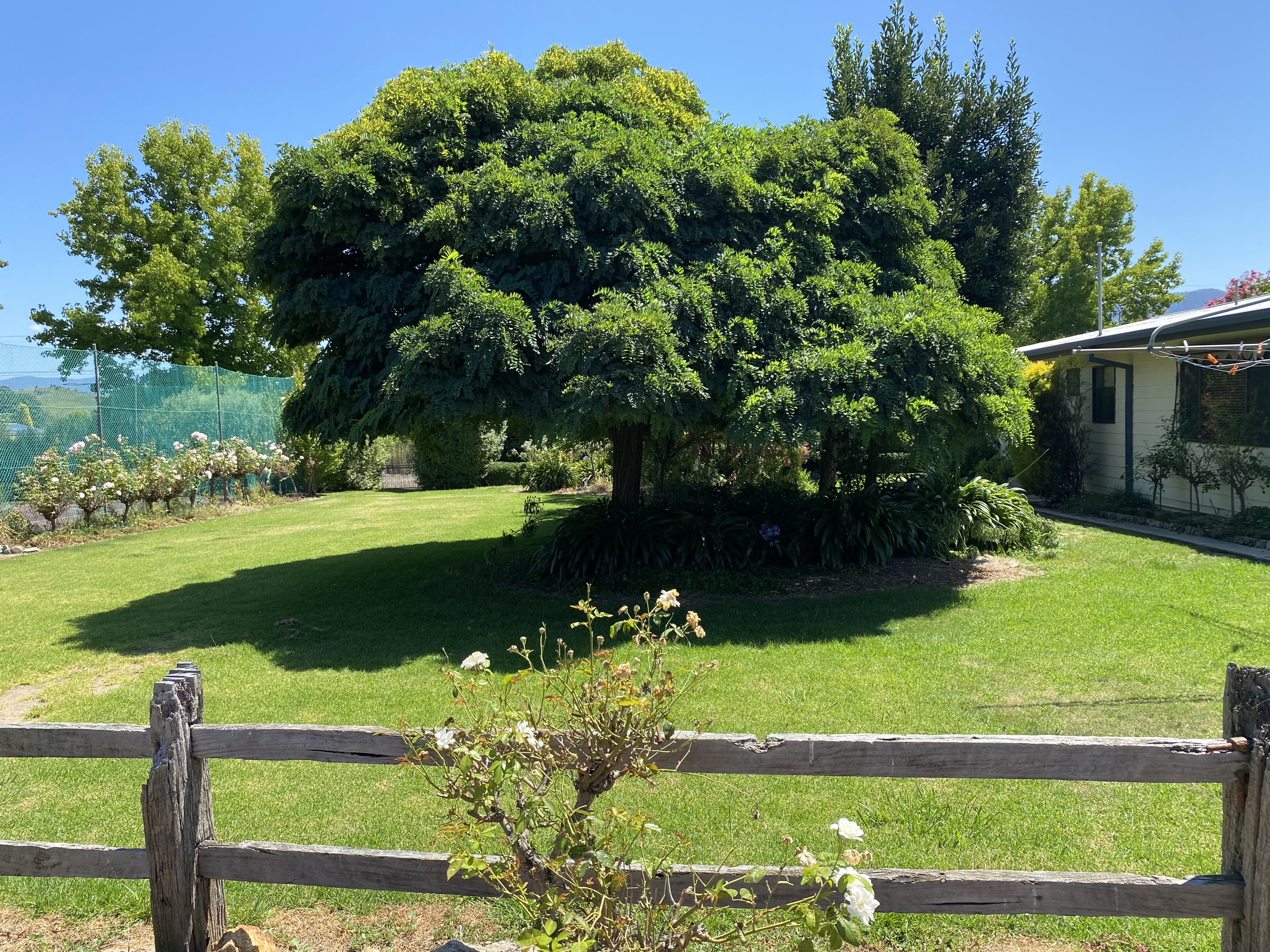 199 Wheeler st, Corryong - Thumbnail 3