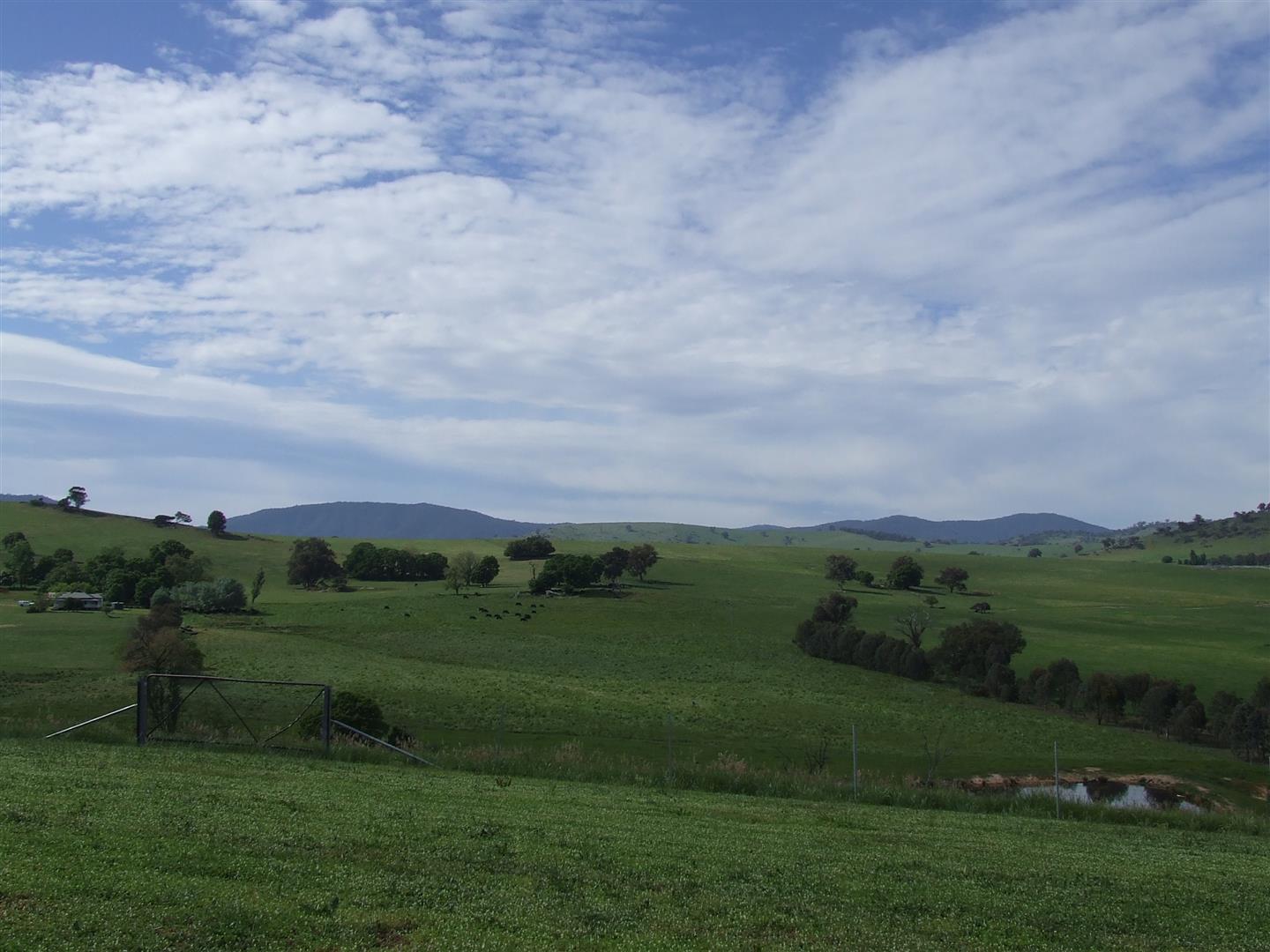 37 Jephcott Avenue, Corryong - Thumbnail 6