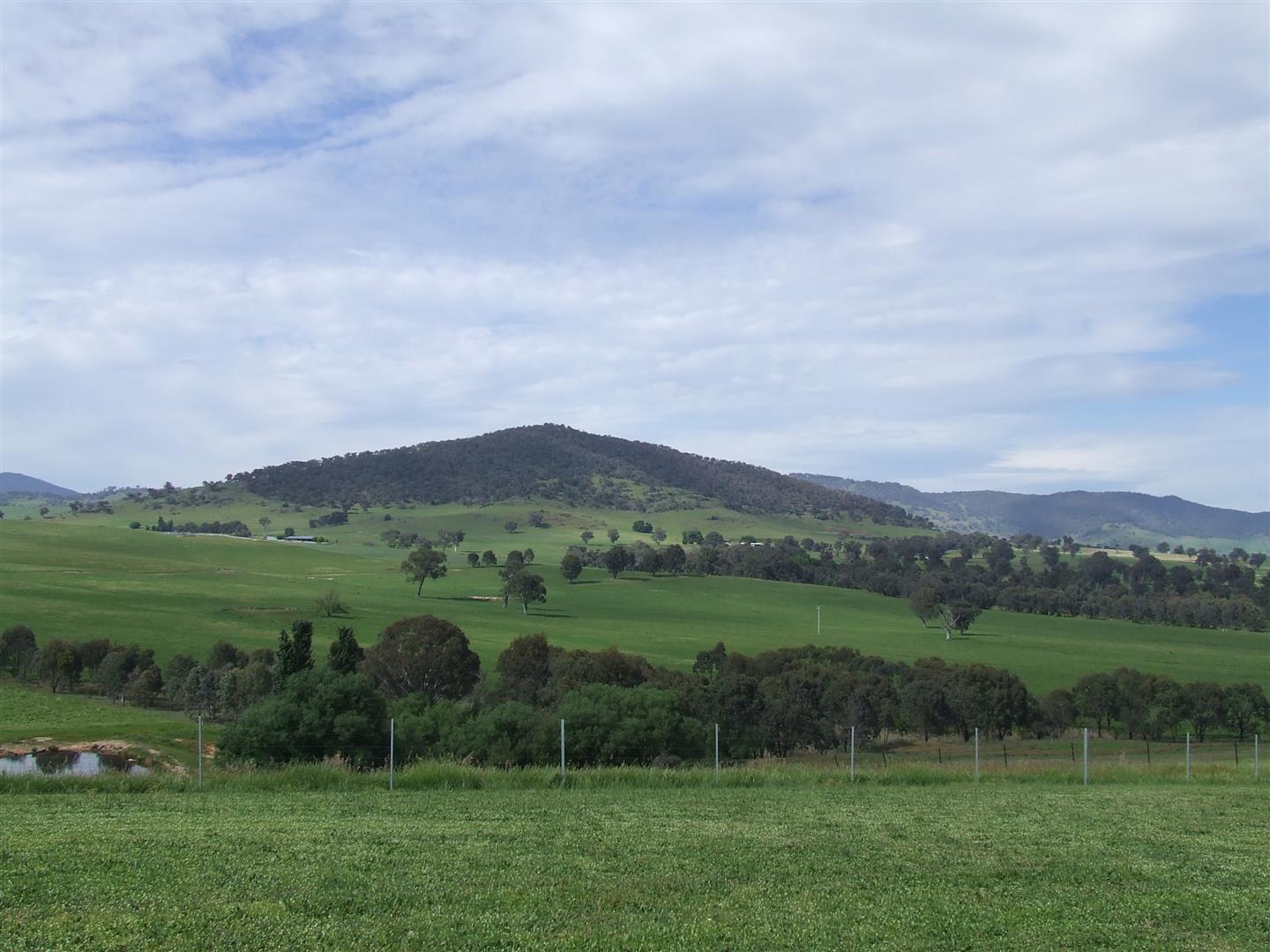 37 Jephcott Avenue, Corryong - Thumbnail 5