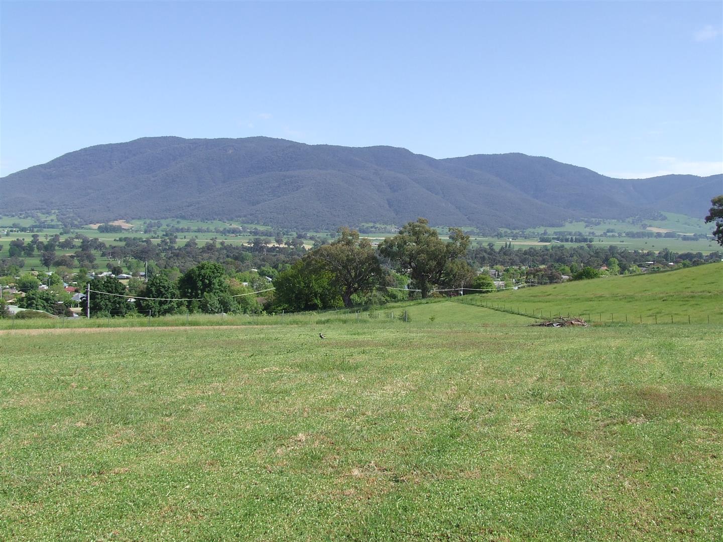37 Jephcott Avenue, Corryong - Thumbnail 2