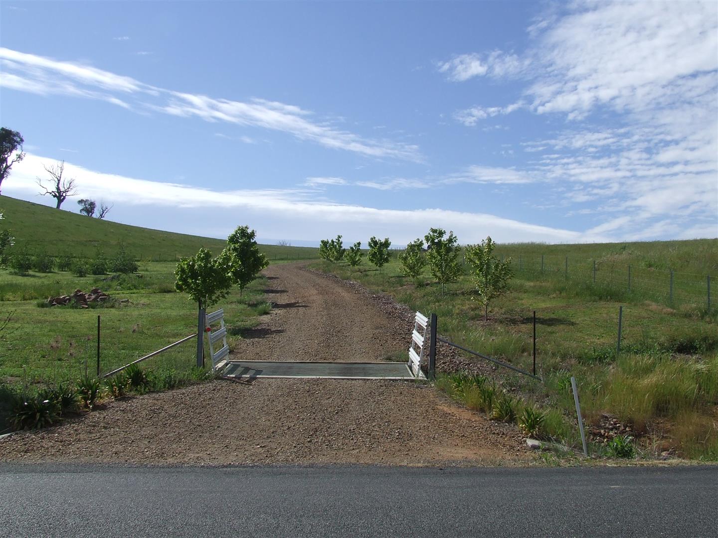 37 Jephcott Avenue, Corryong - Thumbnail 7
