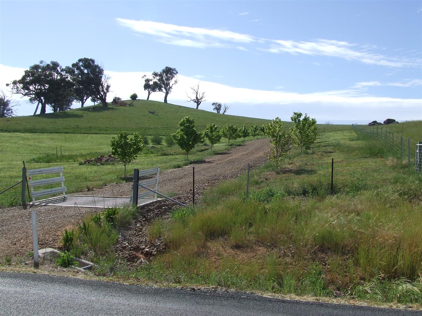 37 Jephcott Avenue, Corryong - Thumbnail 8