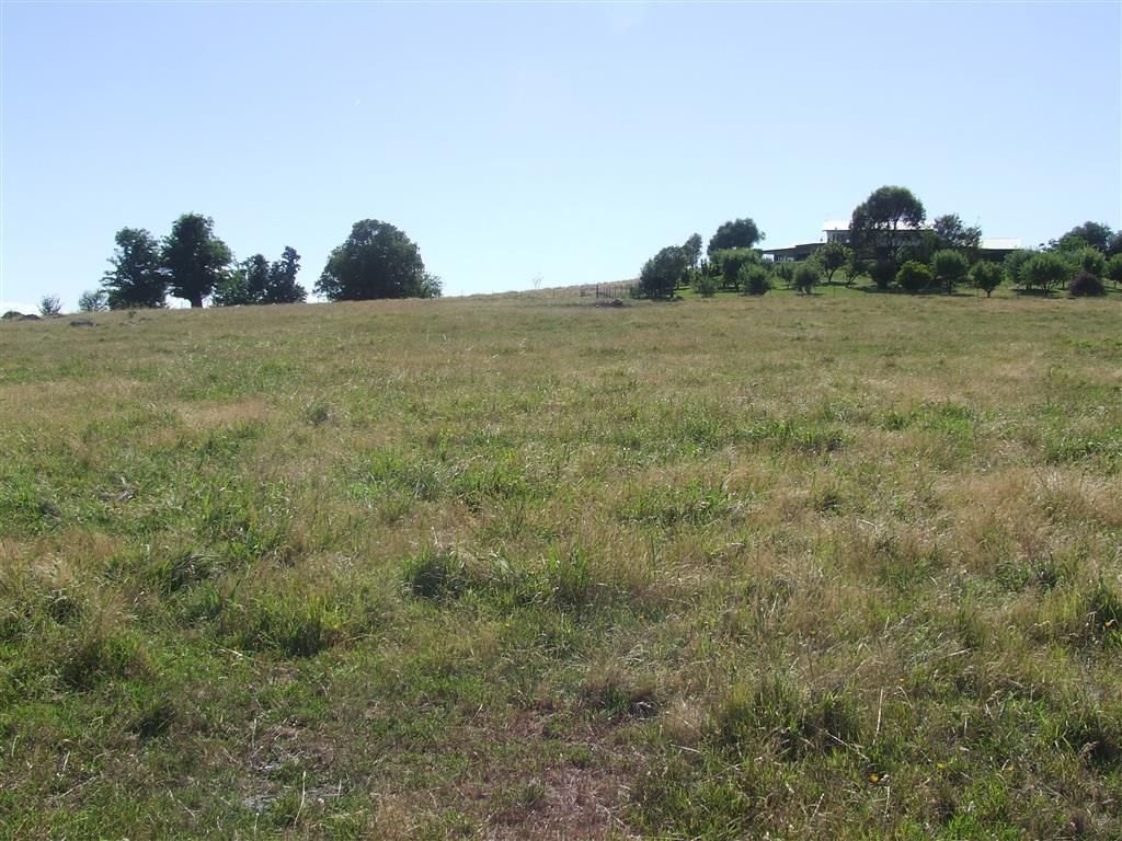 65 Back Tintaldra Rd, Tintaldra - Thumbnail 6