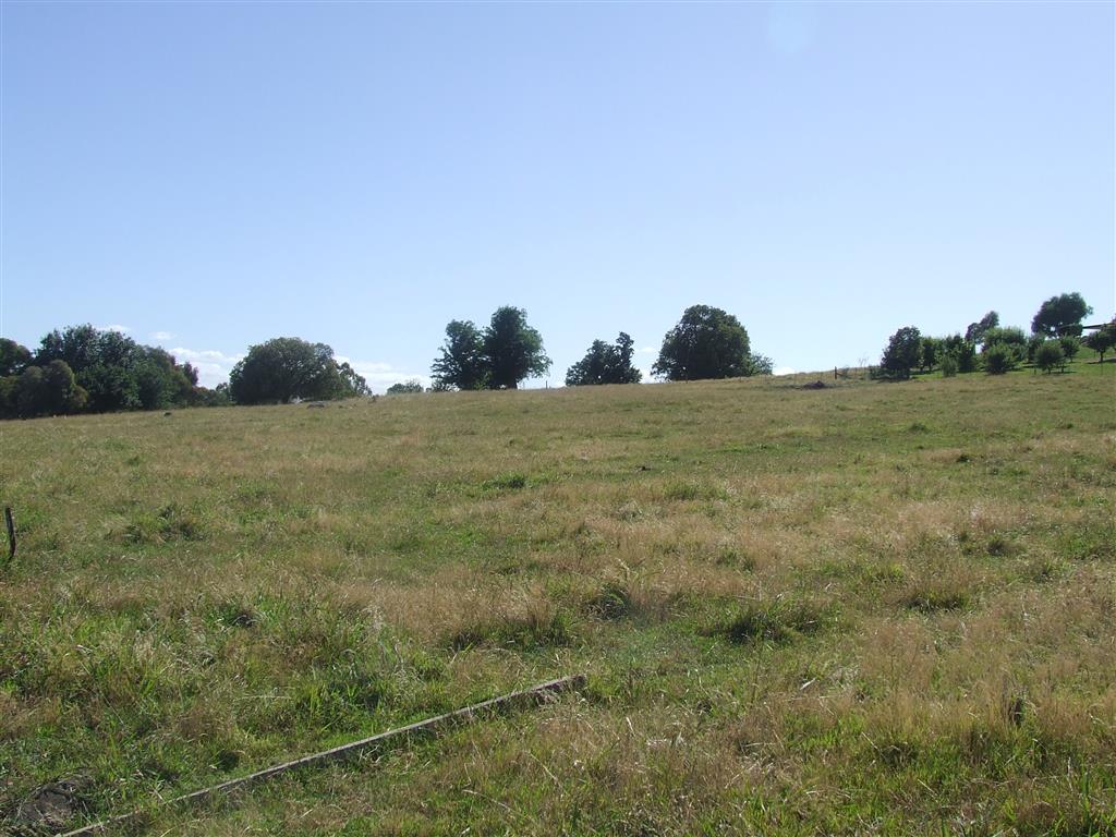 65 Back Tintaldra Rd, Tintaldra - Thumbnail 2
