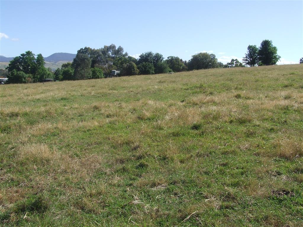 65 Back Tintaldra Rd, Tintaldra - Thumbnail 4