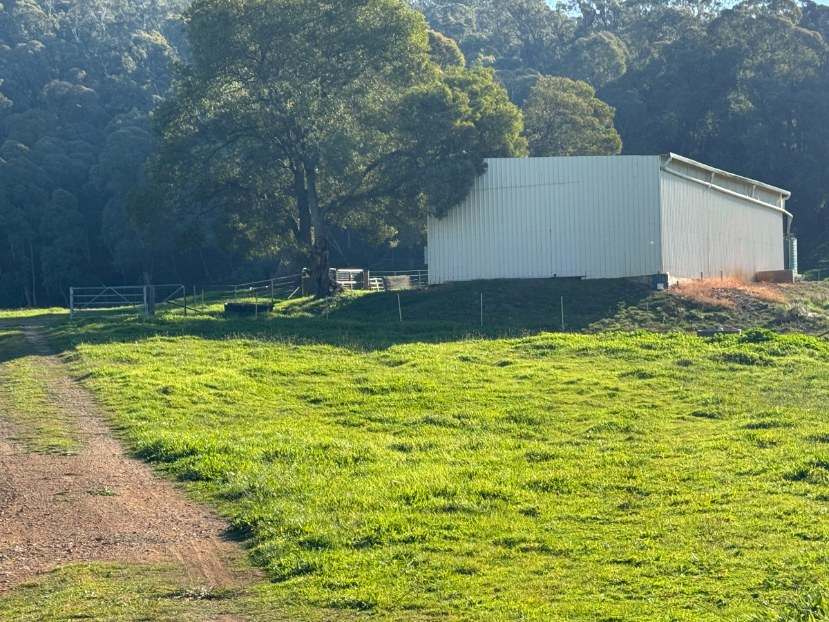40 Simpsons Creek Track, Nariel Valley - Thumbnail 3
