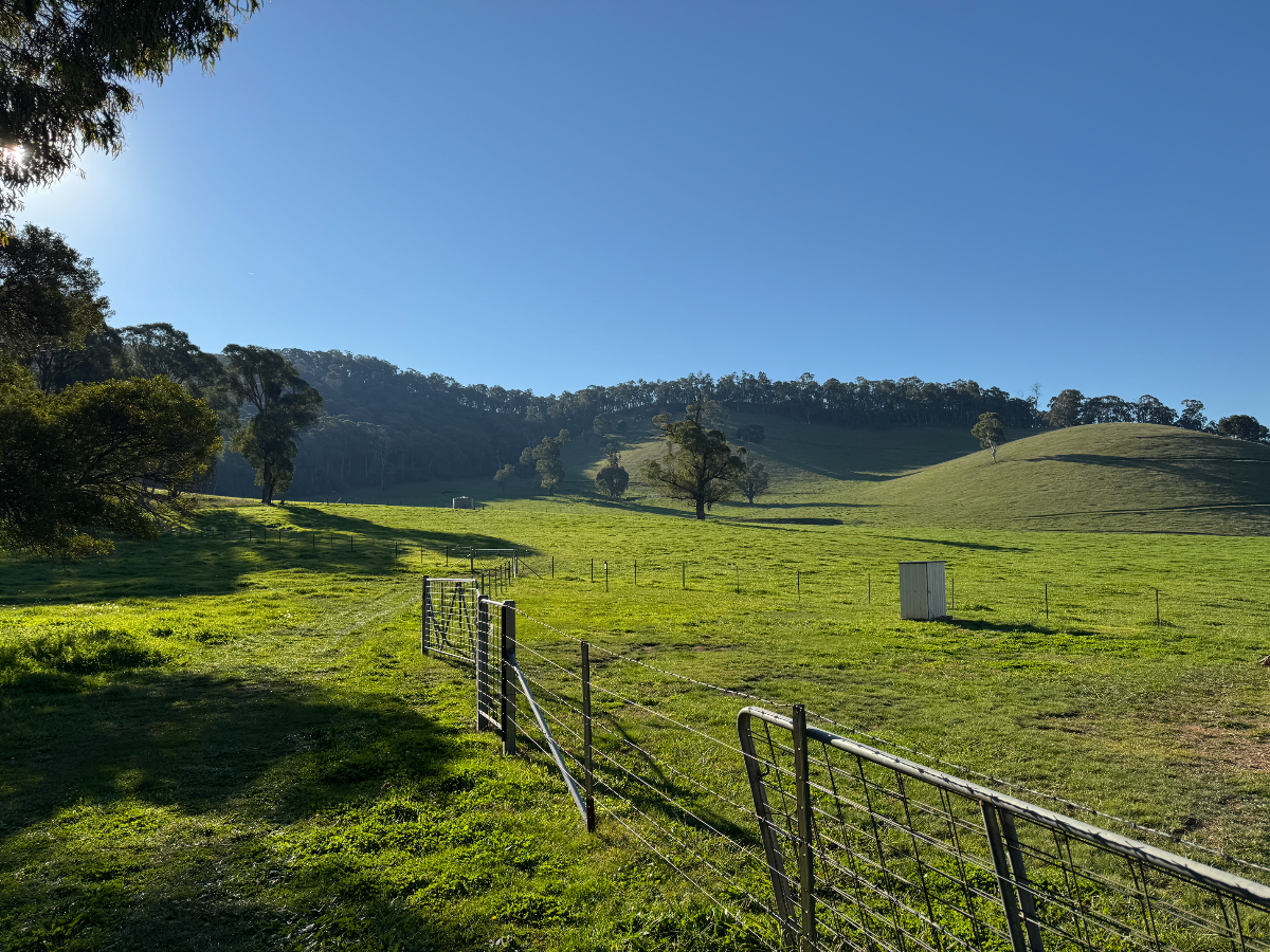 40 Simpsons Creek Track, Nariel Valley - Thumbnail 8