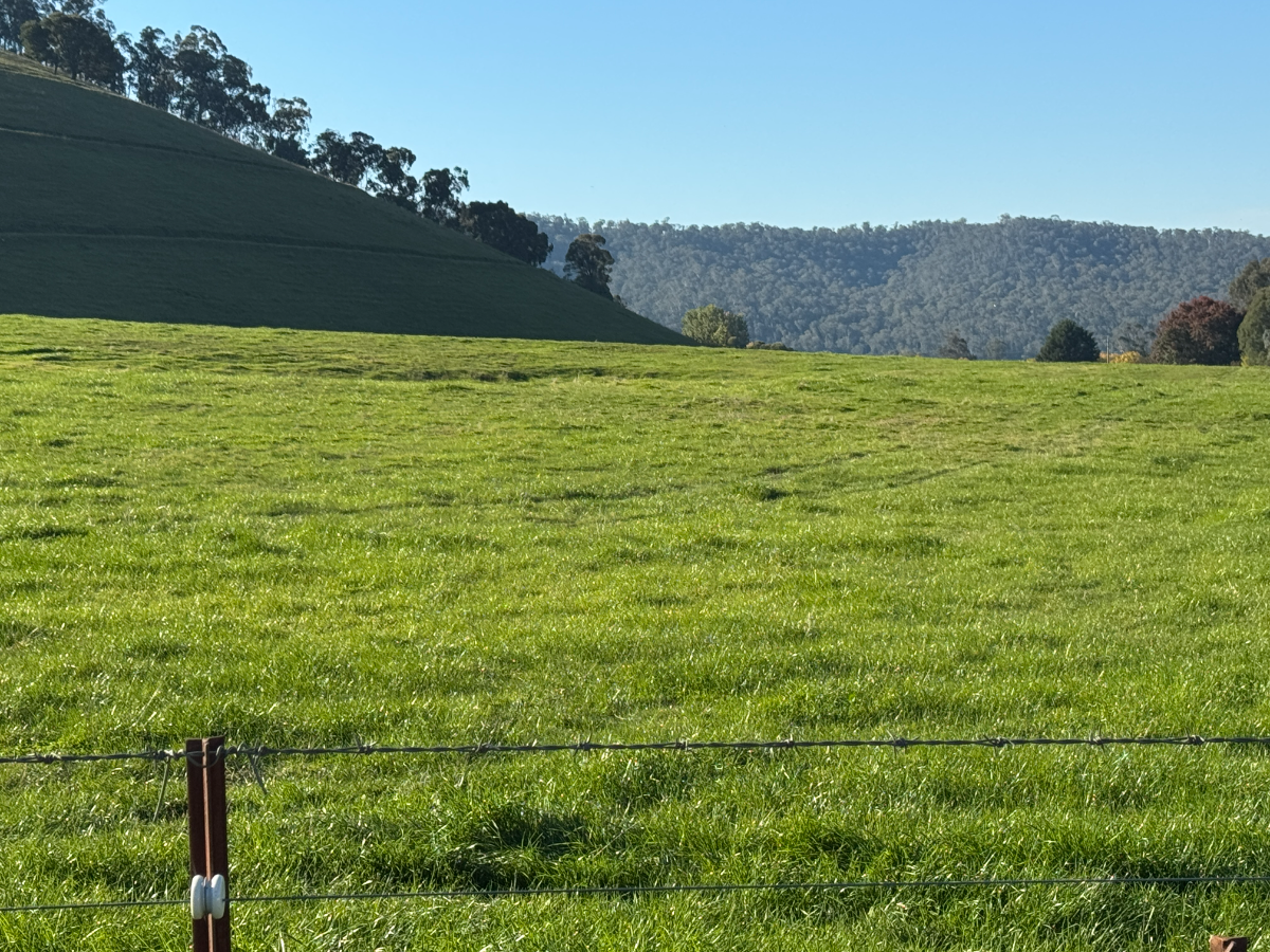 40 Simpsons Creek Track, Nariel Valley - Thumbnail 4