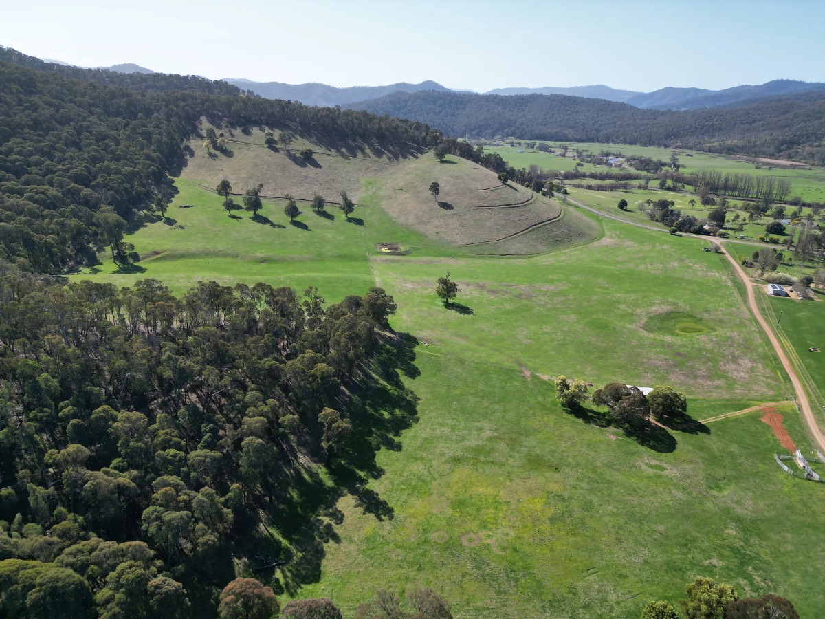 40 Simpsons Creek Track, Nariel Valley - Image 1