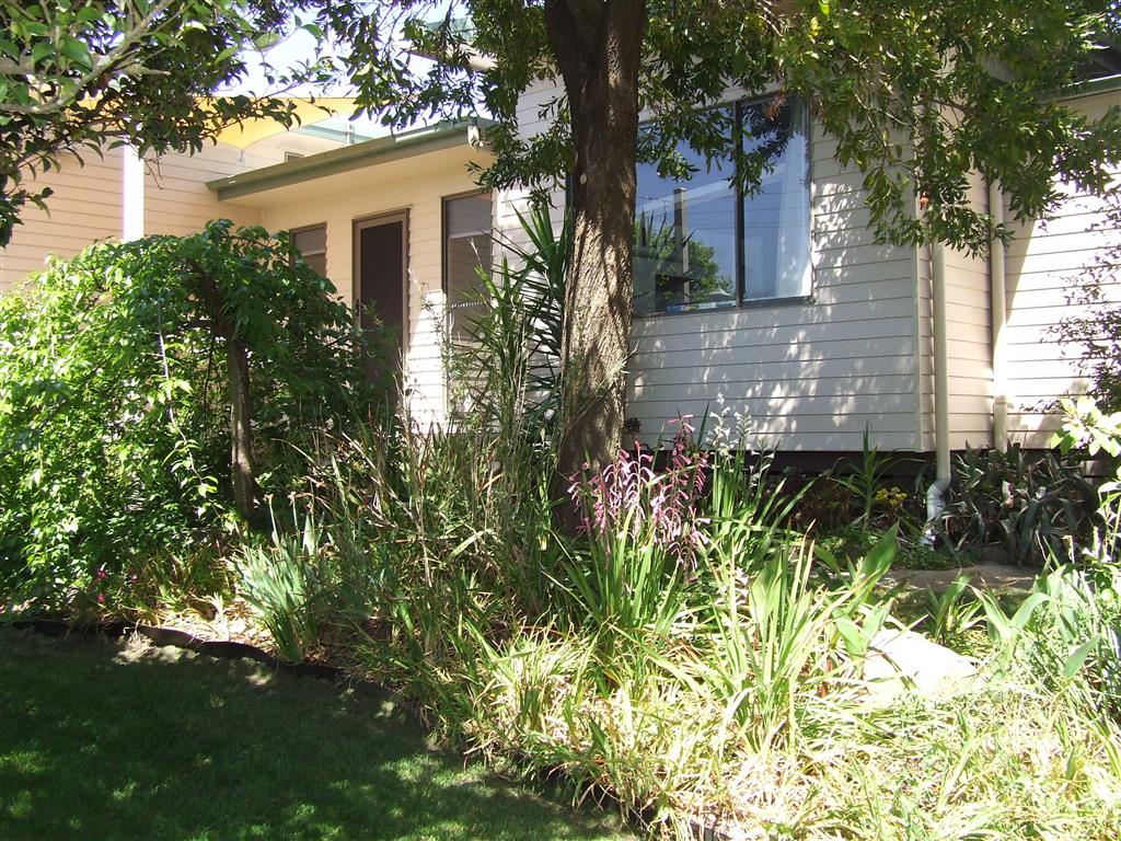 165 Harris st, Corryong - Thumbnail 3