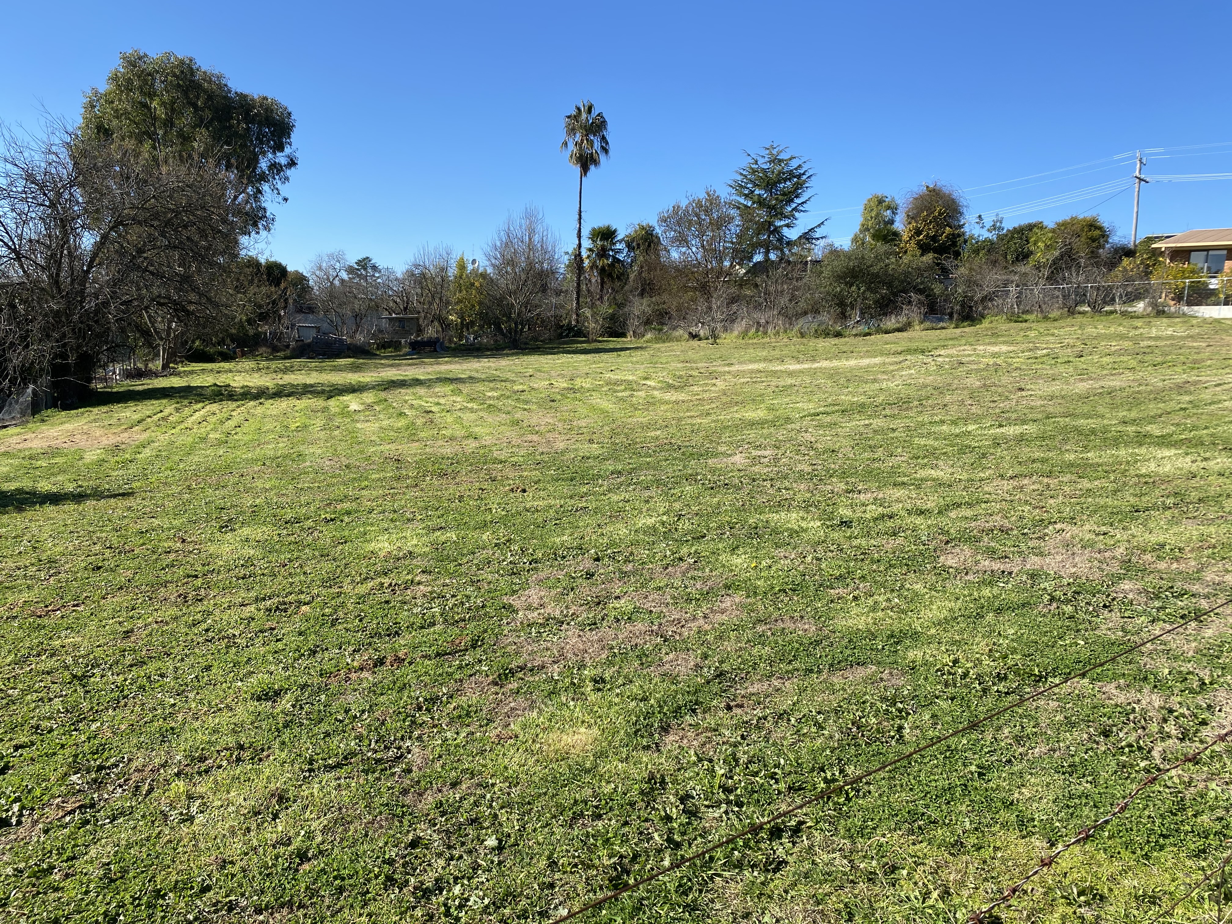 3-7 3-7 Barber st, Corryong - Thumbnail 4