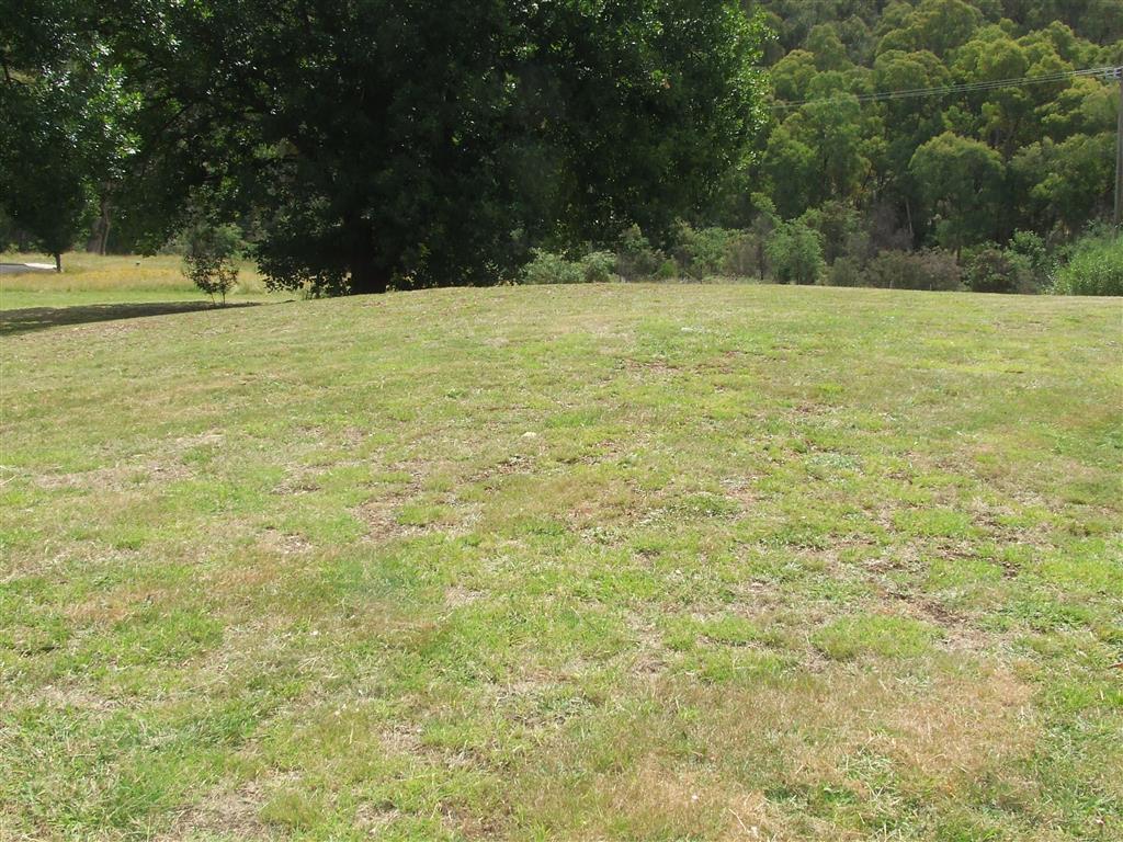 Image of property
