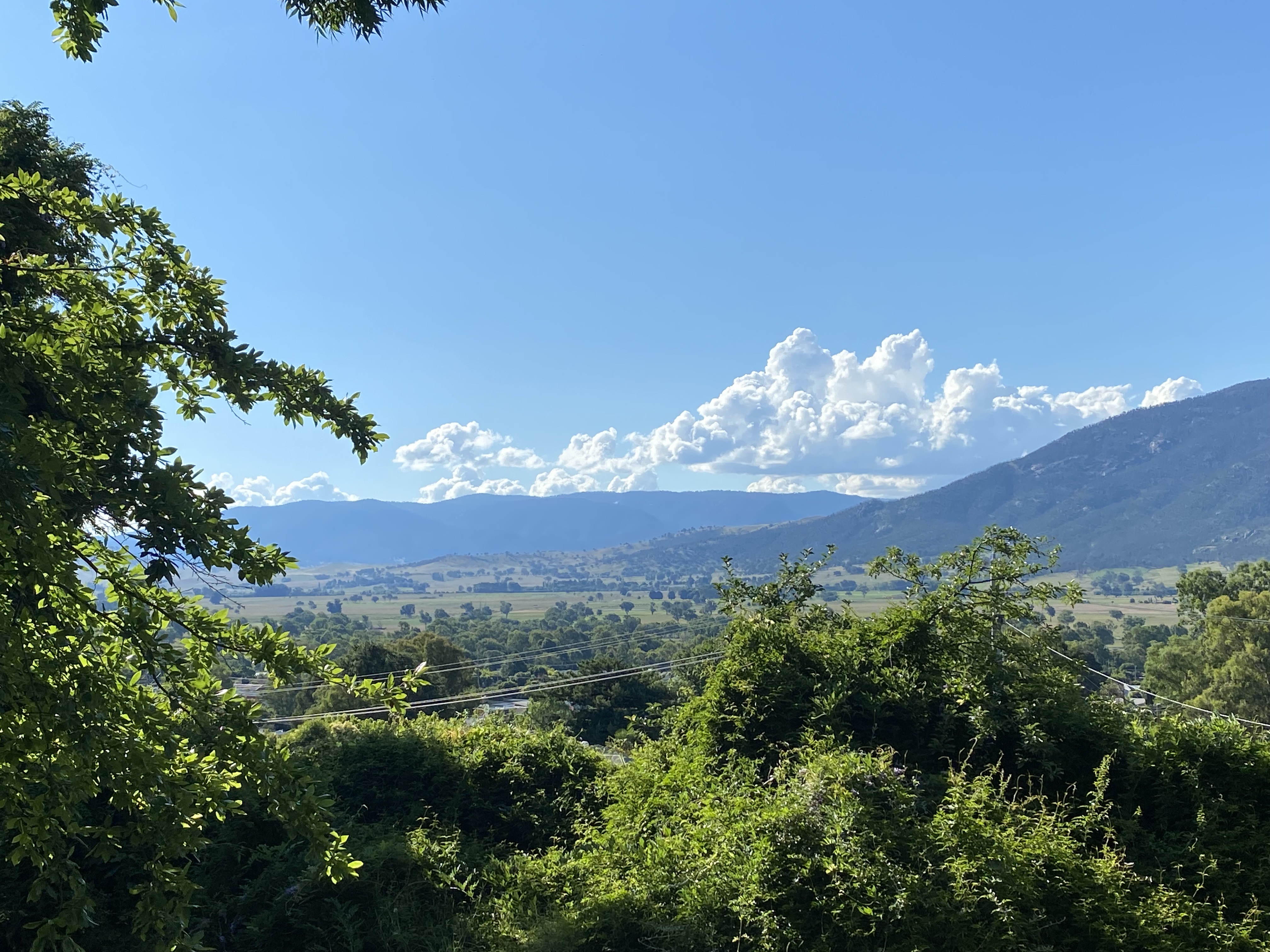 3 Back Thowgla Rd, Corryong - Thumbnail 3
