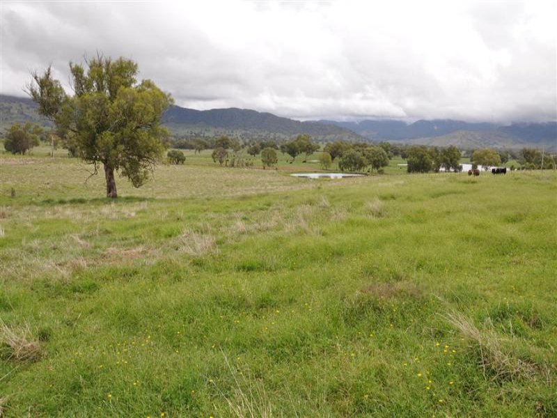 Greenwattle Gap Rd, Corryong - Thumbnail 3