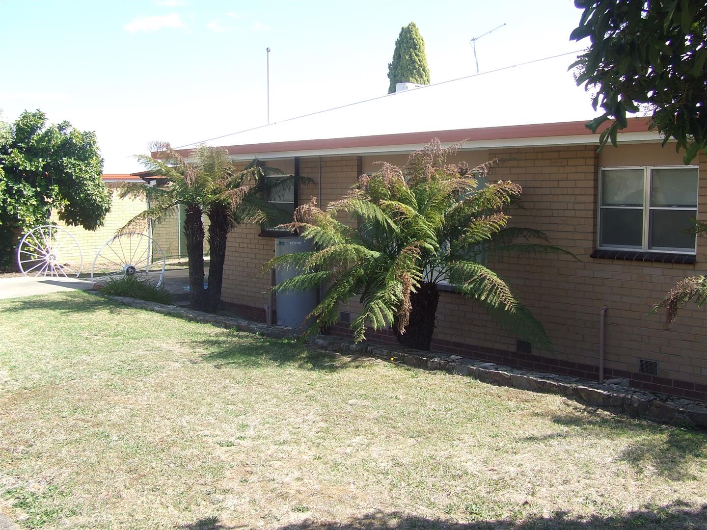 52 Jardine, Corryong - Thumbnail 2