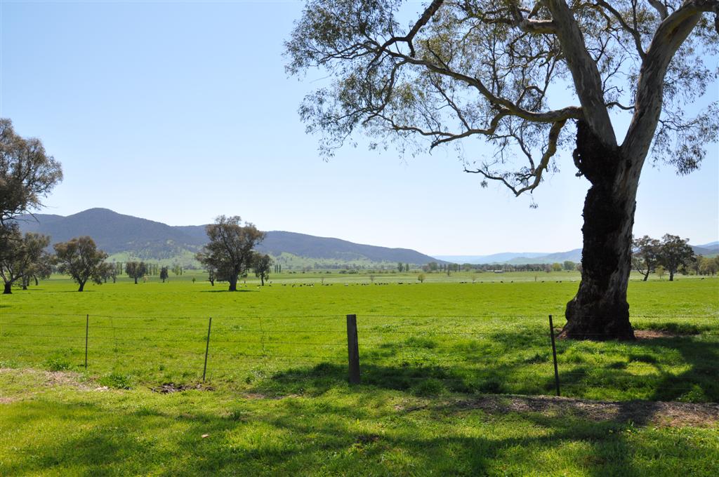 2 Evans, Corryong - Thumbnail 2