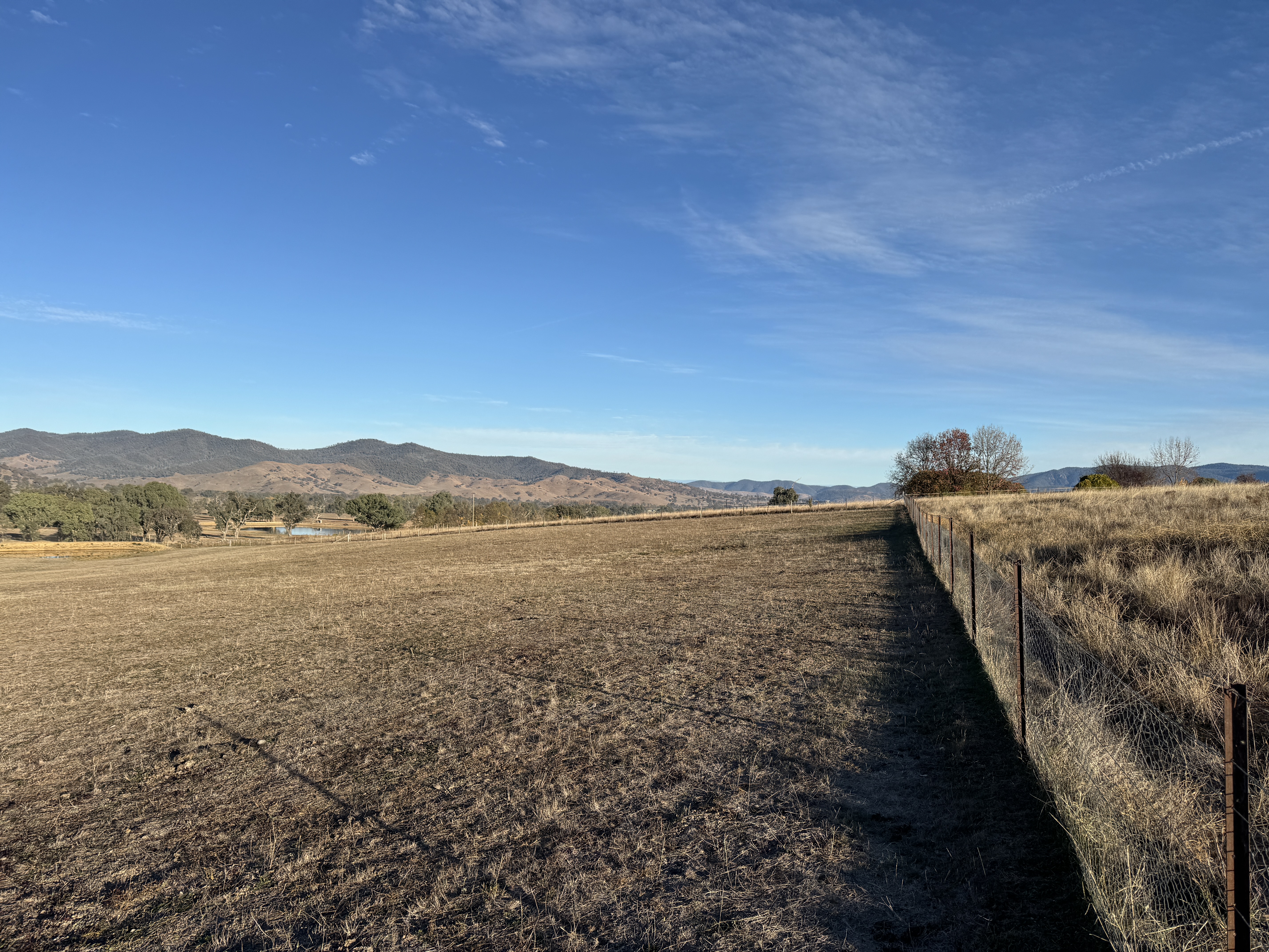 Lot 6/ Greenwattle Gap Rd, Corryong - Thumbnail 7