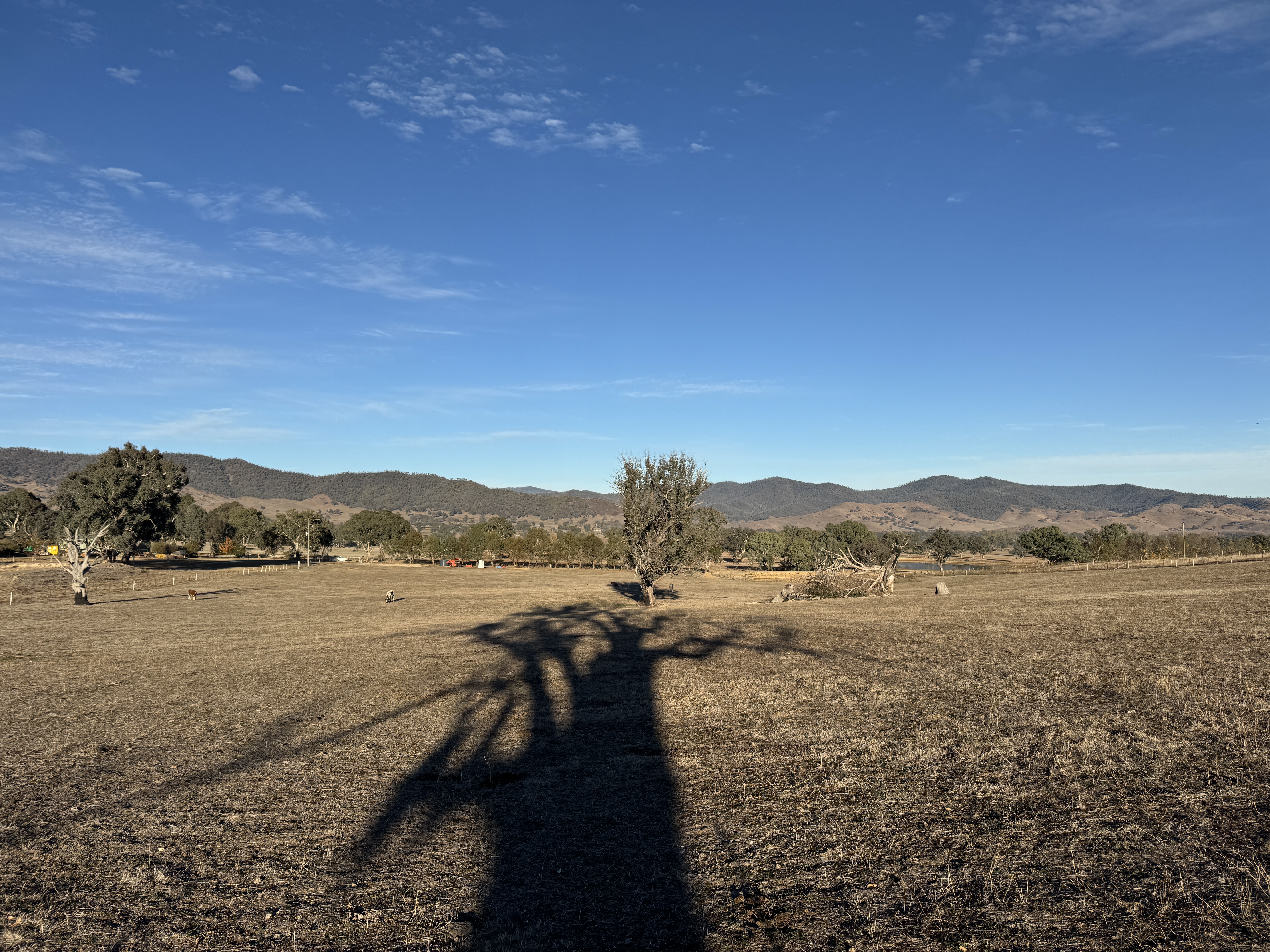 Lot 6/ Greenwattle Gap Rd, Corryong - Thumbnail 5