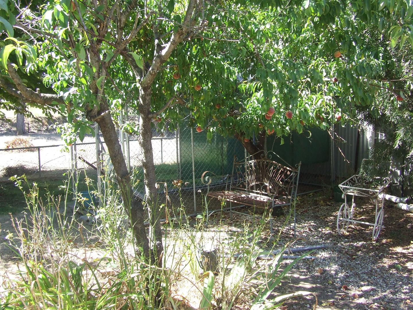 86 Main Road, Cudgewa - Thumbnail 7