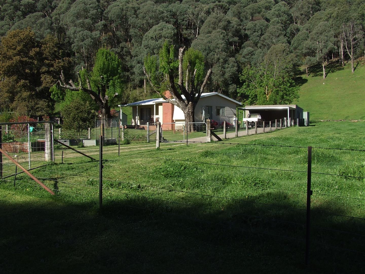 1941 Thowgla Rd, Thowgla Valley - Thumbnail 4