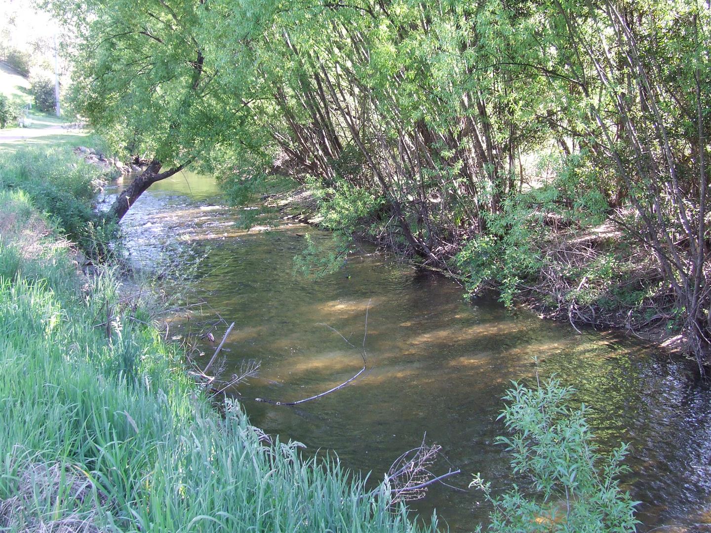 1941 Thowgla Rd, Thowgla Valley - Thumbnail 2