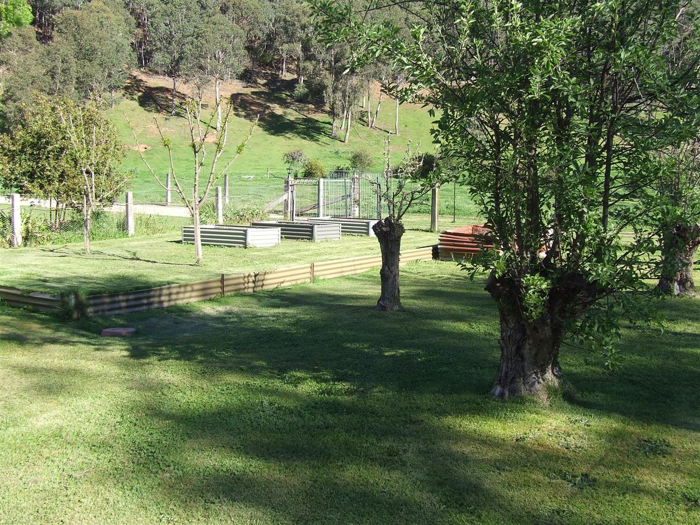 1941 Thowgla Rd, Thowgla Valley - Thumbnail 5