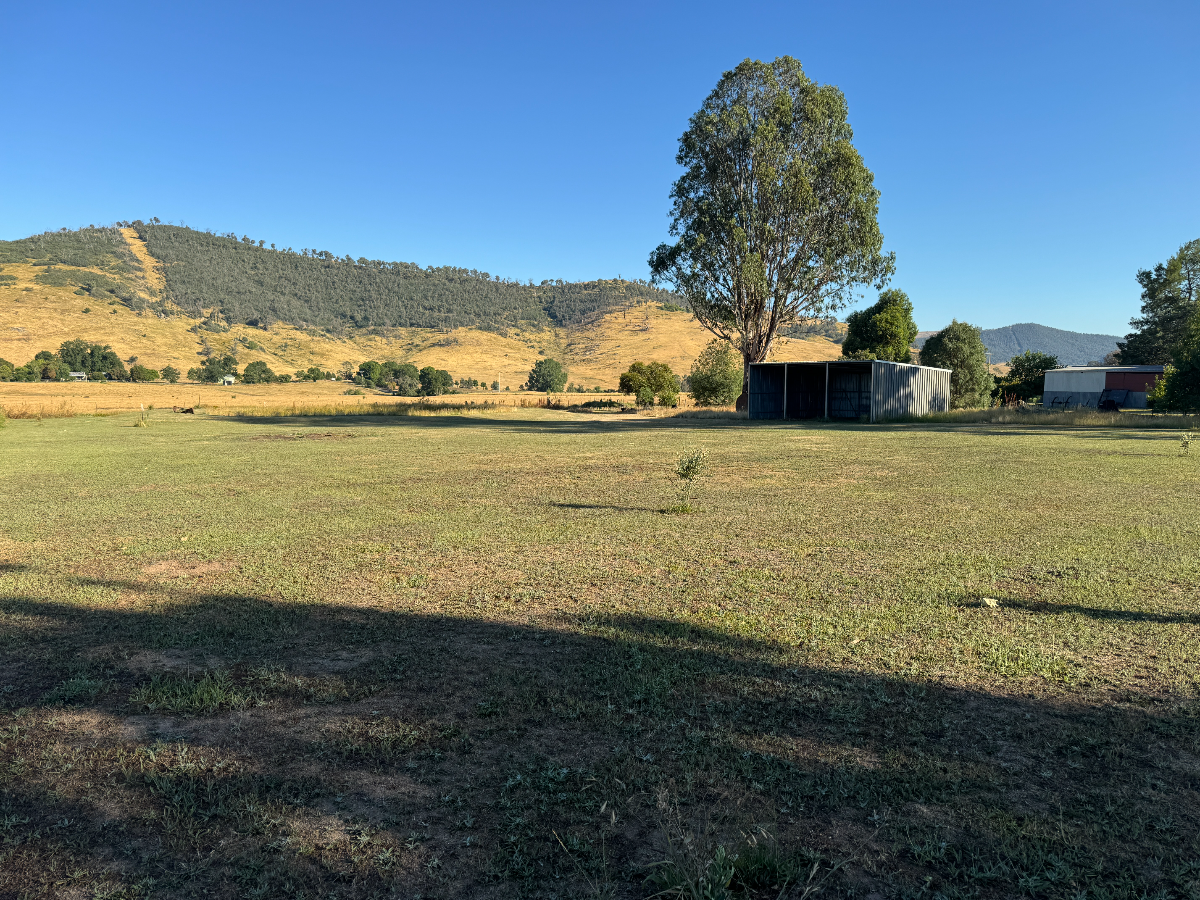 79 Main Street, Cudgewa - Thumbnail 3