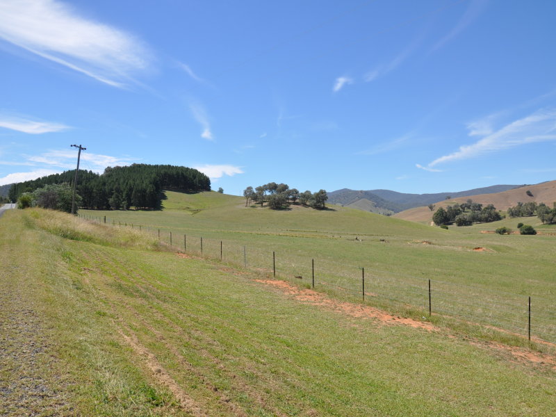 Jingellic Road, Jingellic - Thumbnail 6