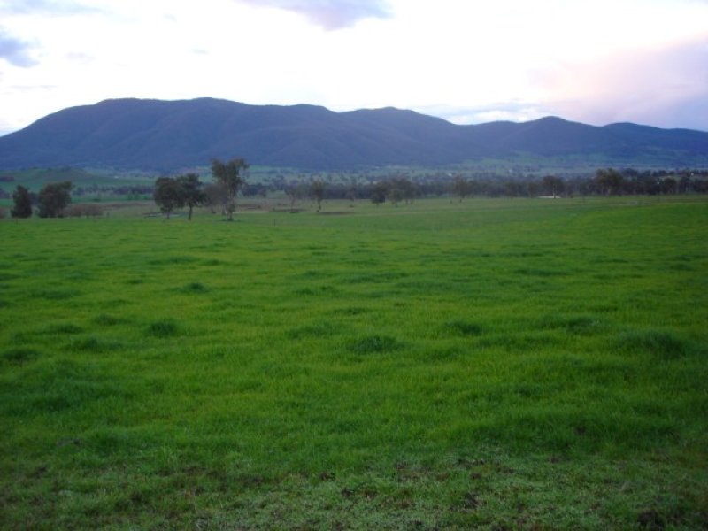 Sugarloaf Road, Corryong - Thumbnail 2
