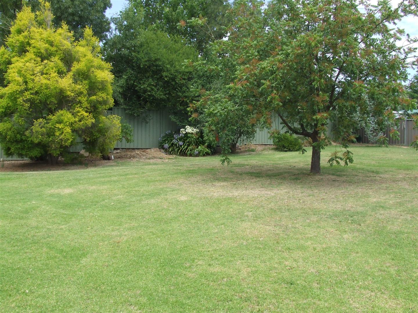 127 Hanson, Corryong - Thumbnail 3