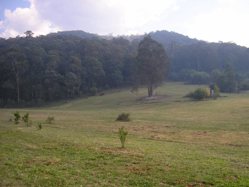 22D Benambra-Corryong Road, Corryong - Thumbnail 3