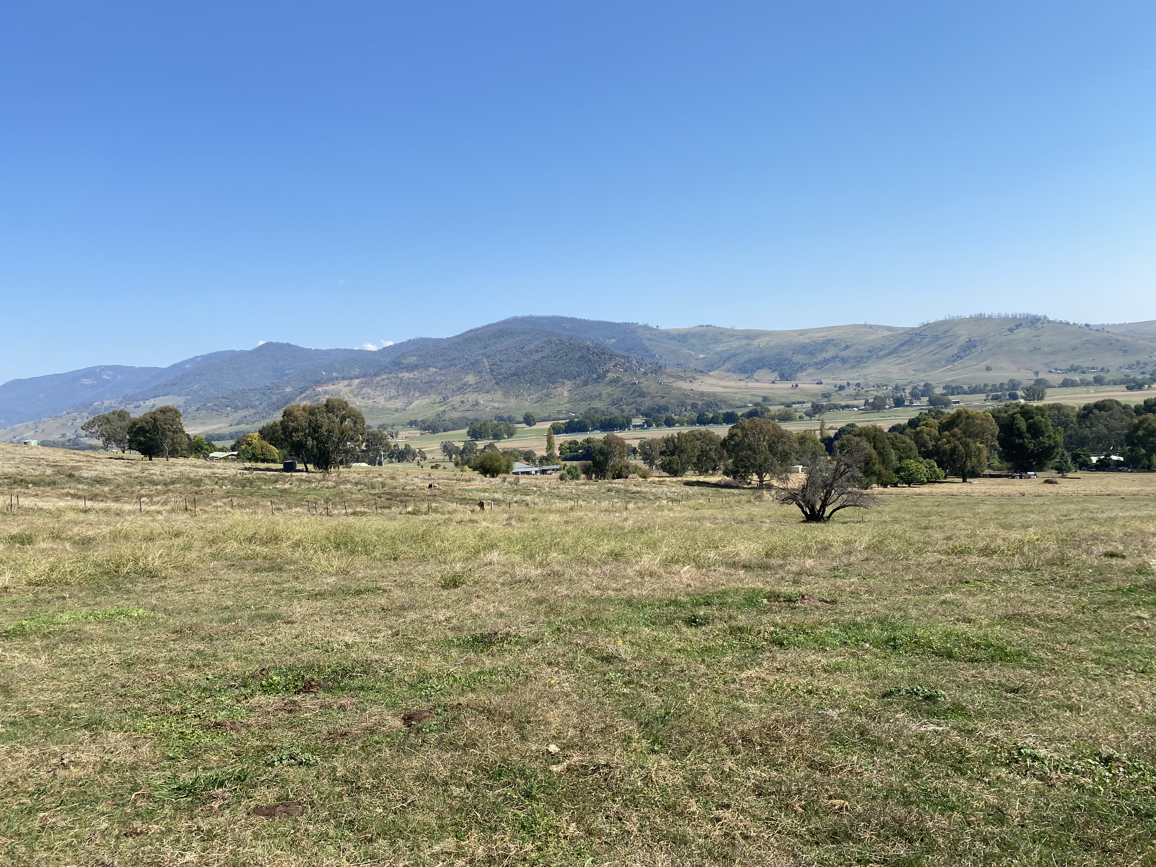 Hovell st, Towong - Thumbnail 5