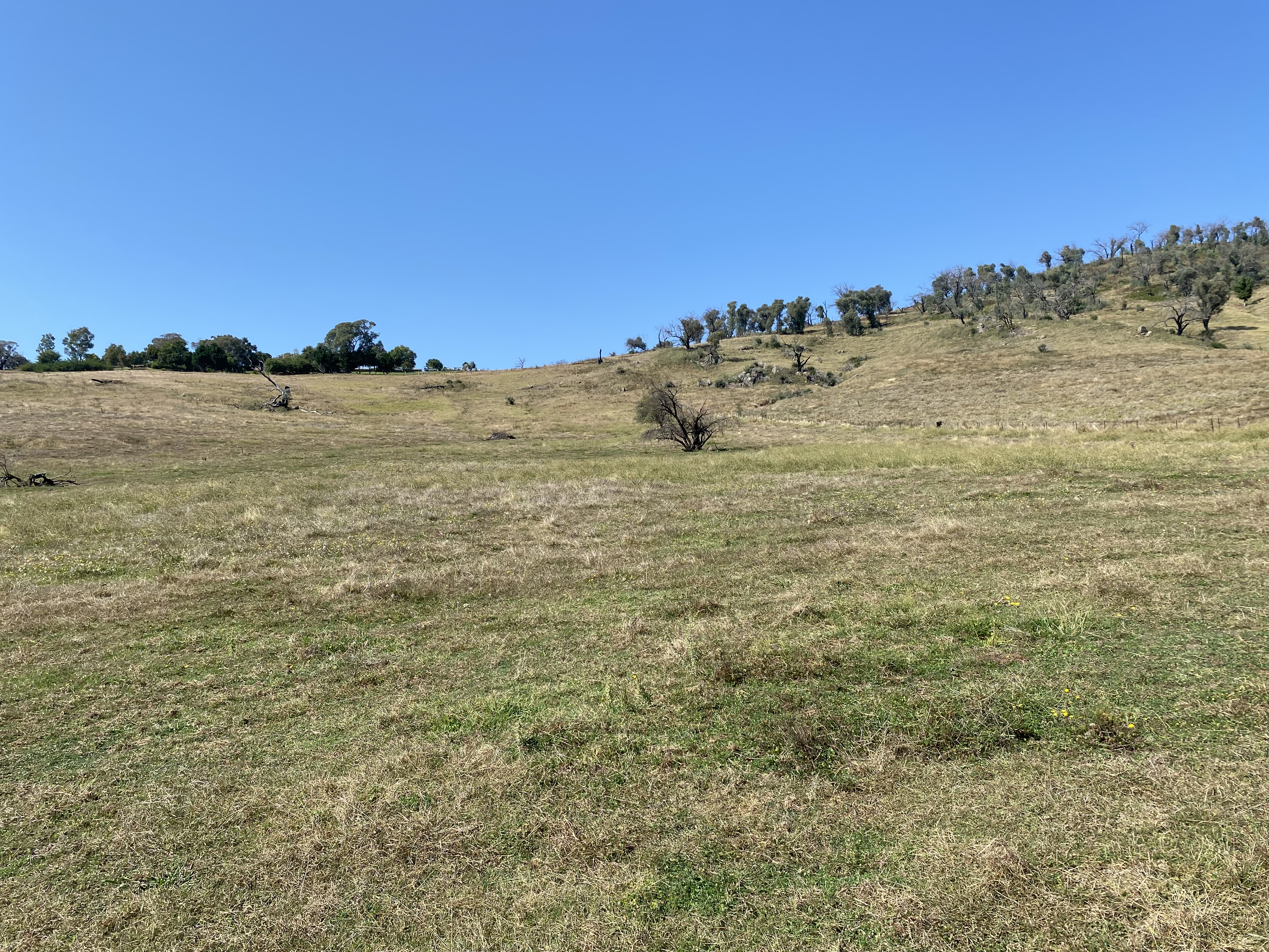 Hovell st, Towong - Thumbnail 8