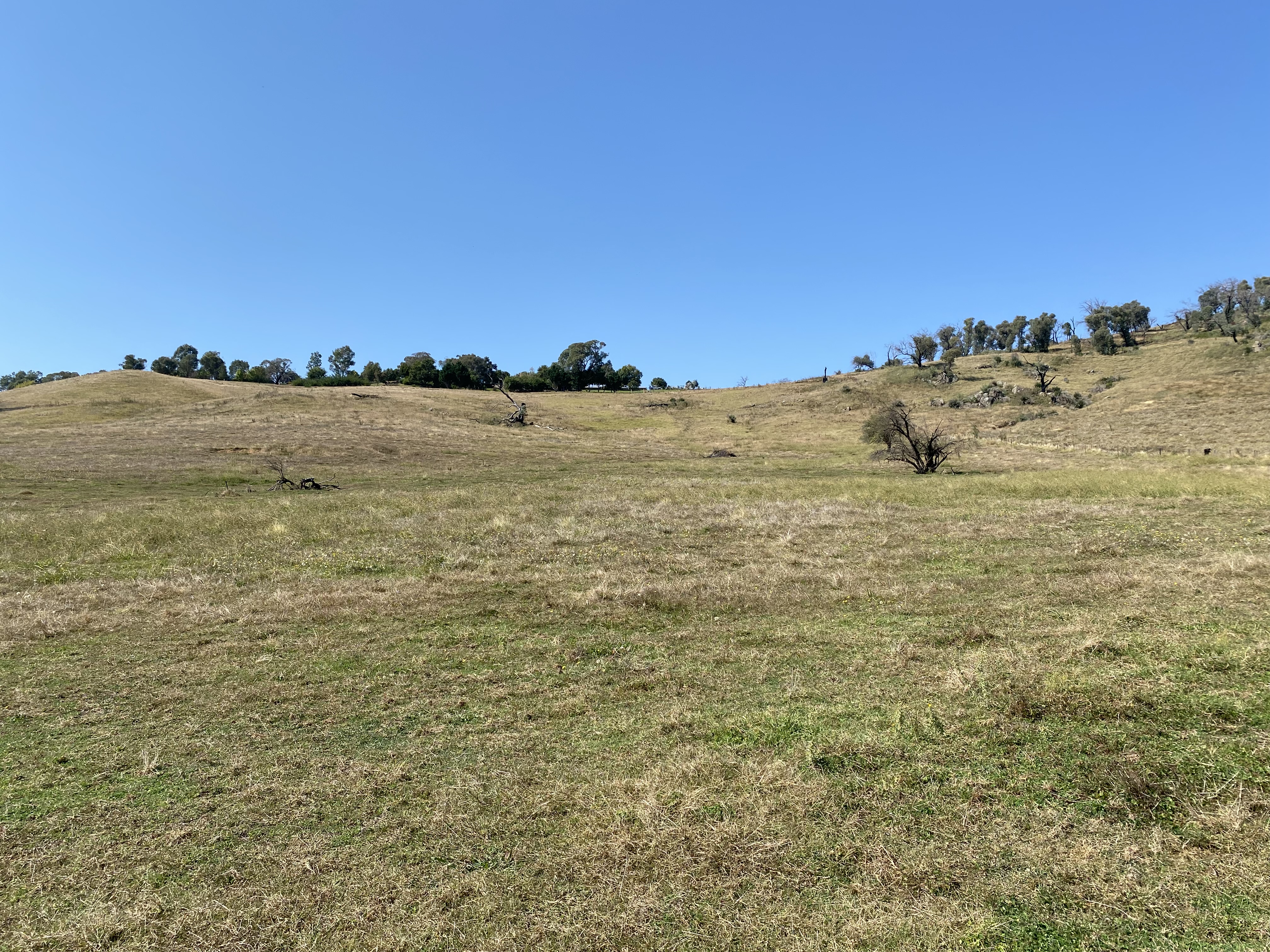 Hovell st, Towong - Thumbnail 7