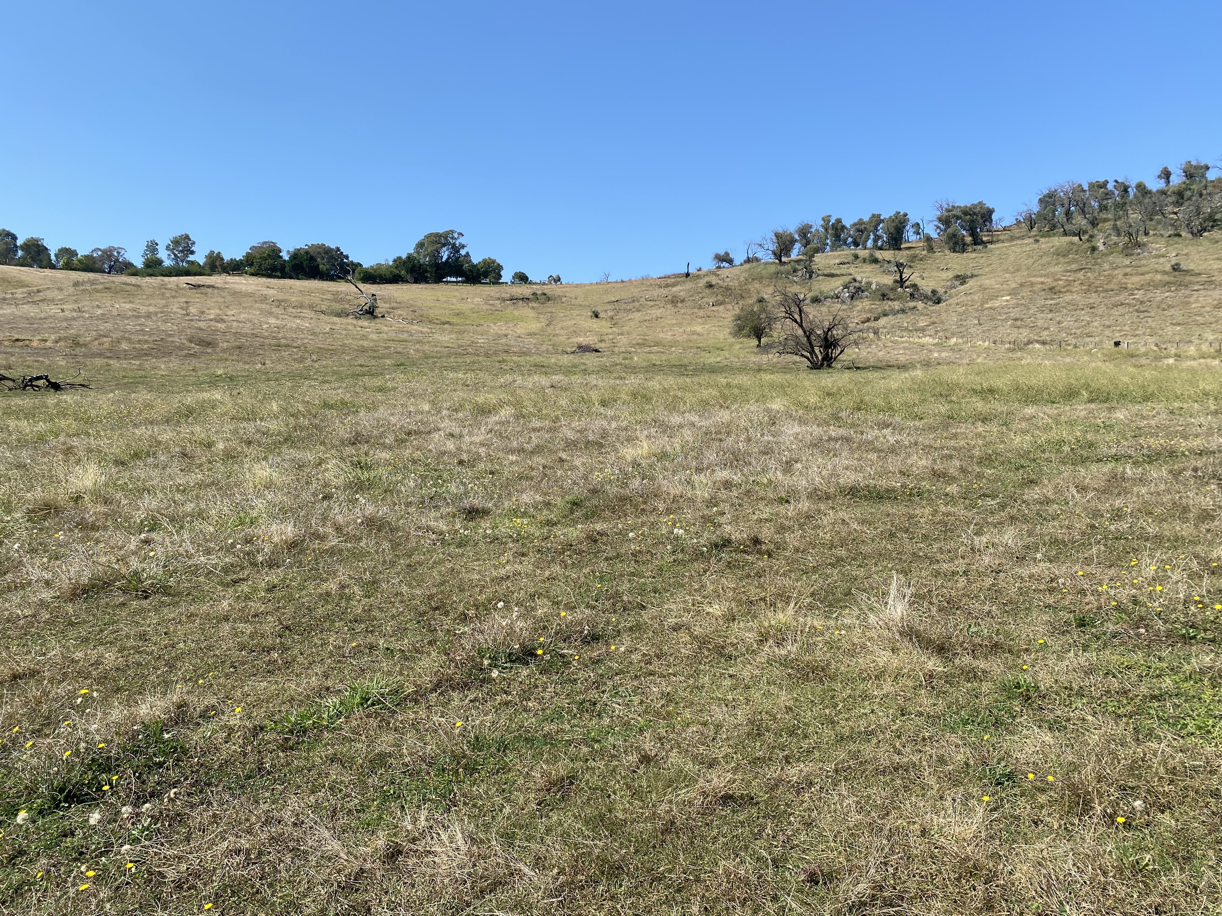 Hovell st, Towong - Thumbnail 6