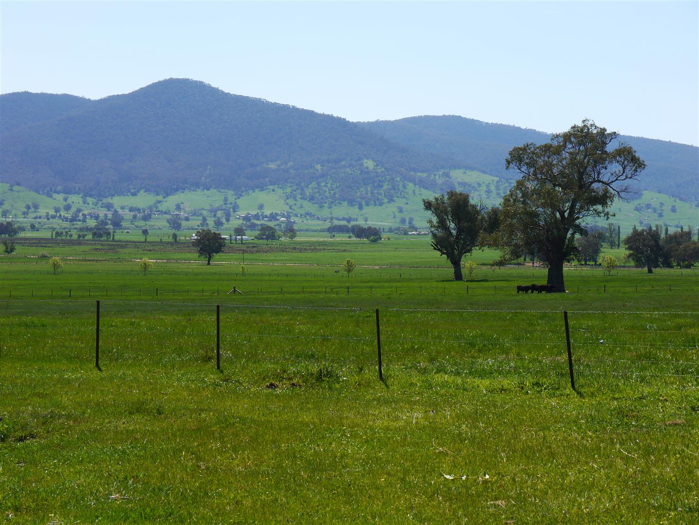 27 Mildren, Corryong - Thumbnail 8