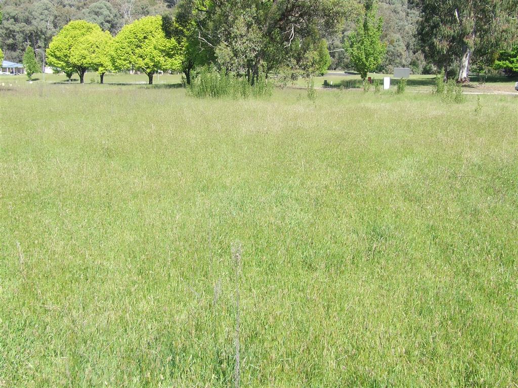 20 Byatt st, Khancoban - Thumbnail 4